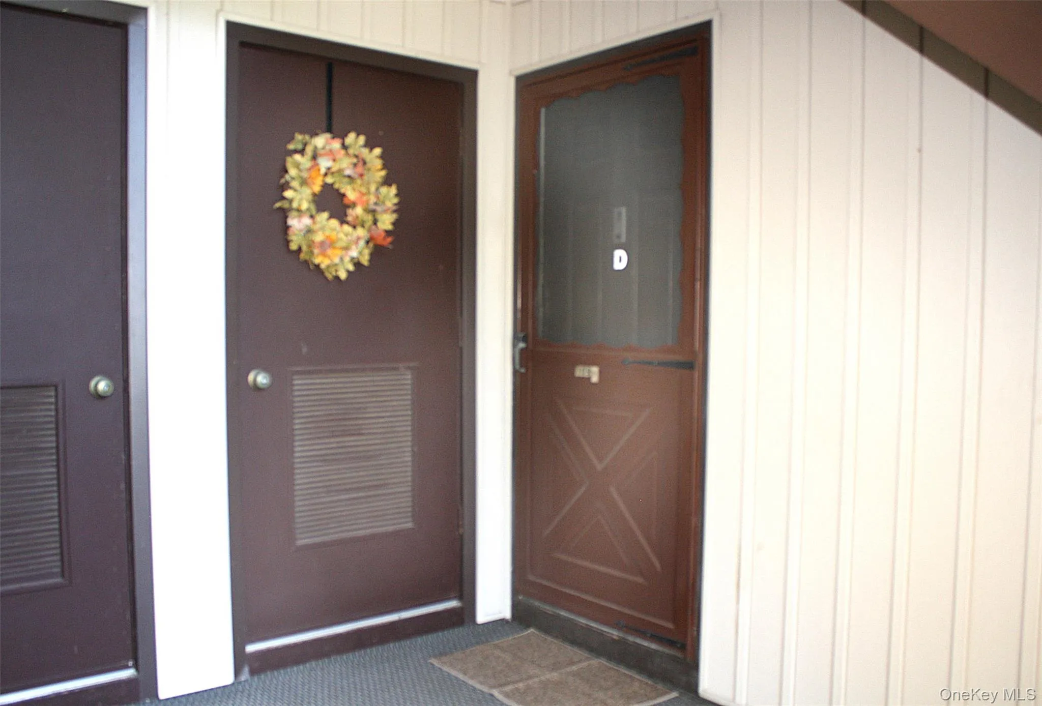 Front Door and Mechanical Closet Front Door and Mechanical Closet