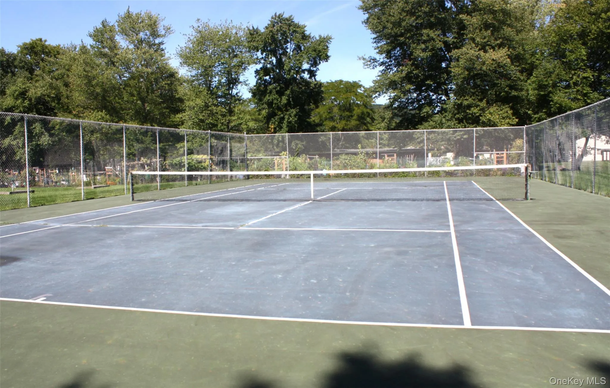Pickleball Pickleball