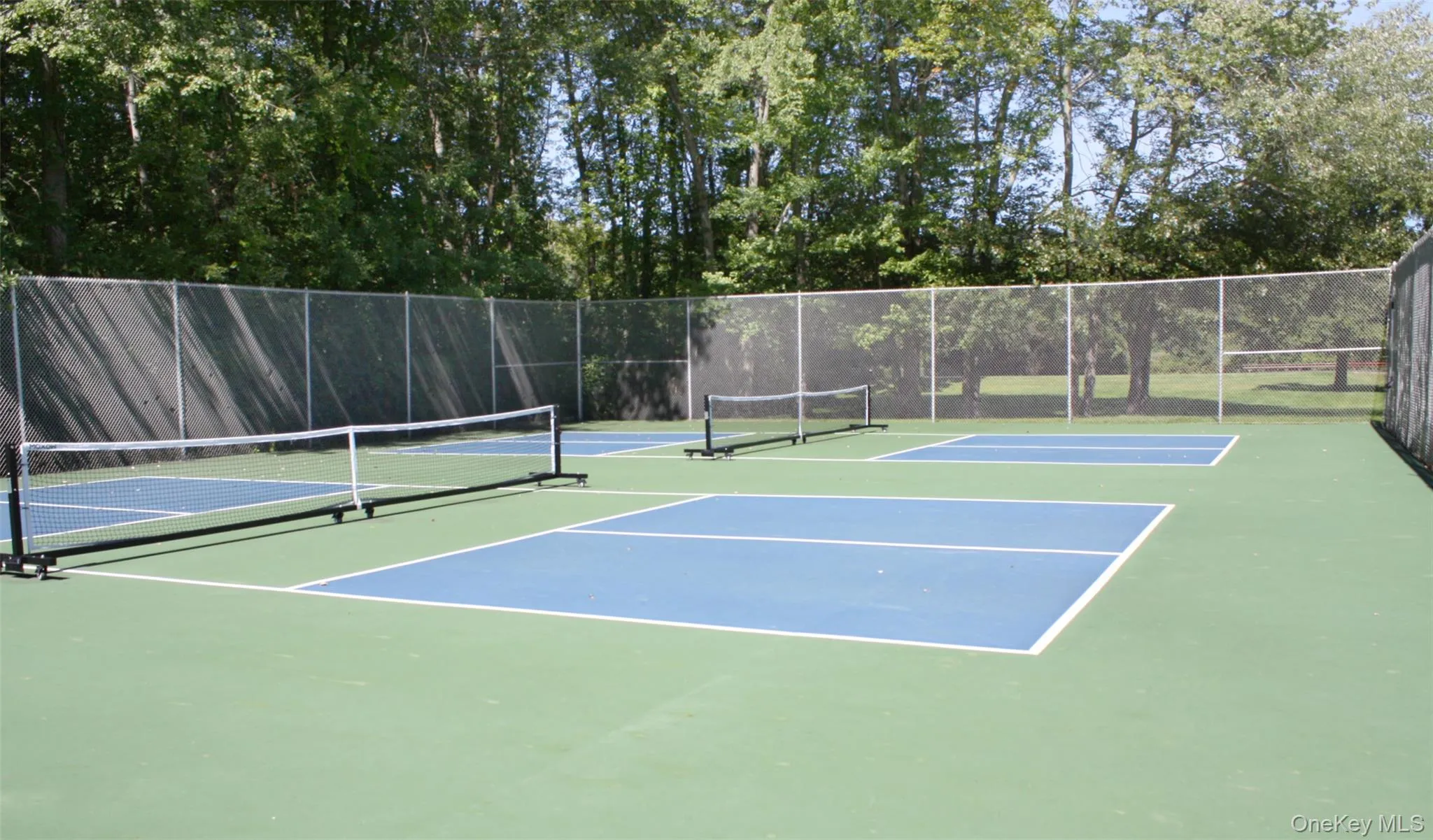 Tennis Tennis