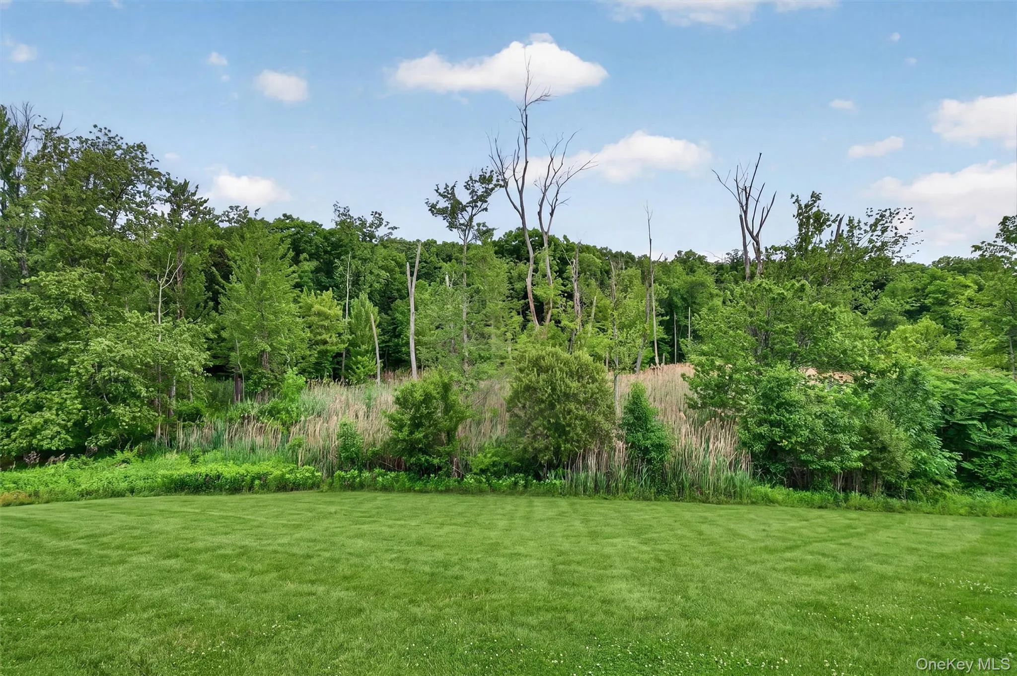 5 Oldwyck Crescent, Woodbury, NY, 4 Bedrooms Bedrooms, 8 Rooms Rooms,2 BathroomsBathrooms,Residential Lease,For Rent,Oldwyck,0,1045152 5 Oldwyck Crescent, Woodbury, NY, 4 Bedrooms Bedrooms, 8 Rooms Rooms,2 BathroomsBathrooms,Residential Lease,For Rent,Oldwyck,0,1045152