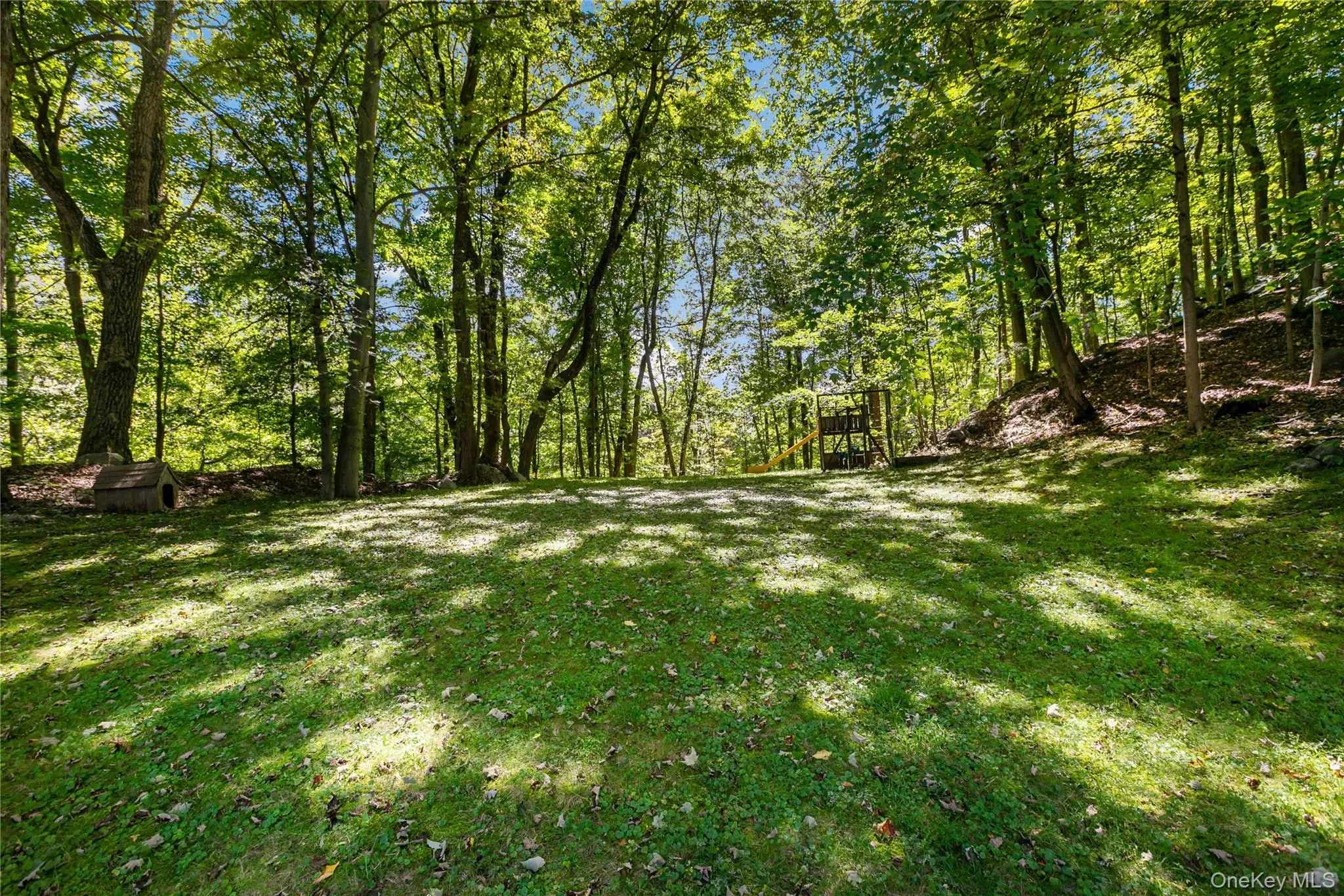 View of private backyard. View of private backyard.