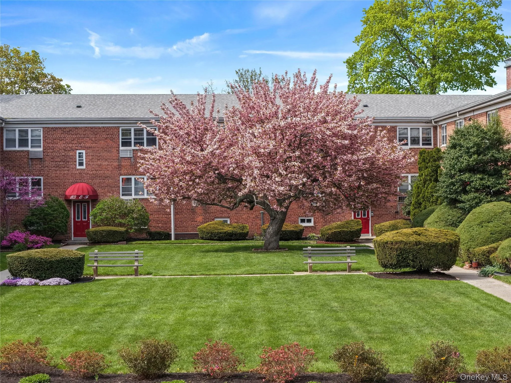 183 Drake Avenue, New Rochelle, NY, 2 Bedrooms Bedrooms, 9 Rooms Rooms,2 BathroomsBathrooms,Residential,For Rent,Drake,0,1045173 183 Drake Avenue, New Rochelle, NY, 2 Bedrooms Bedrooms, 9 Rooms Rooms,2 BathroomsBathrooms,Residential,For Rent,Drake,0,1045173