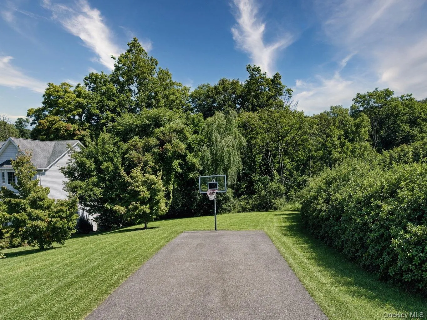 Shoots some hoops or additional parking Shoots some hoops or additional parking