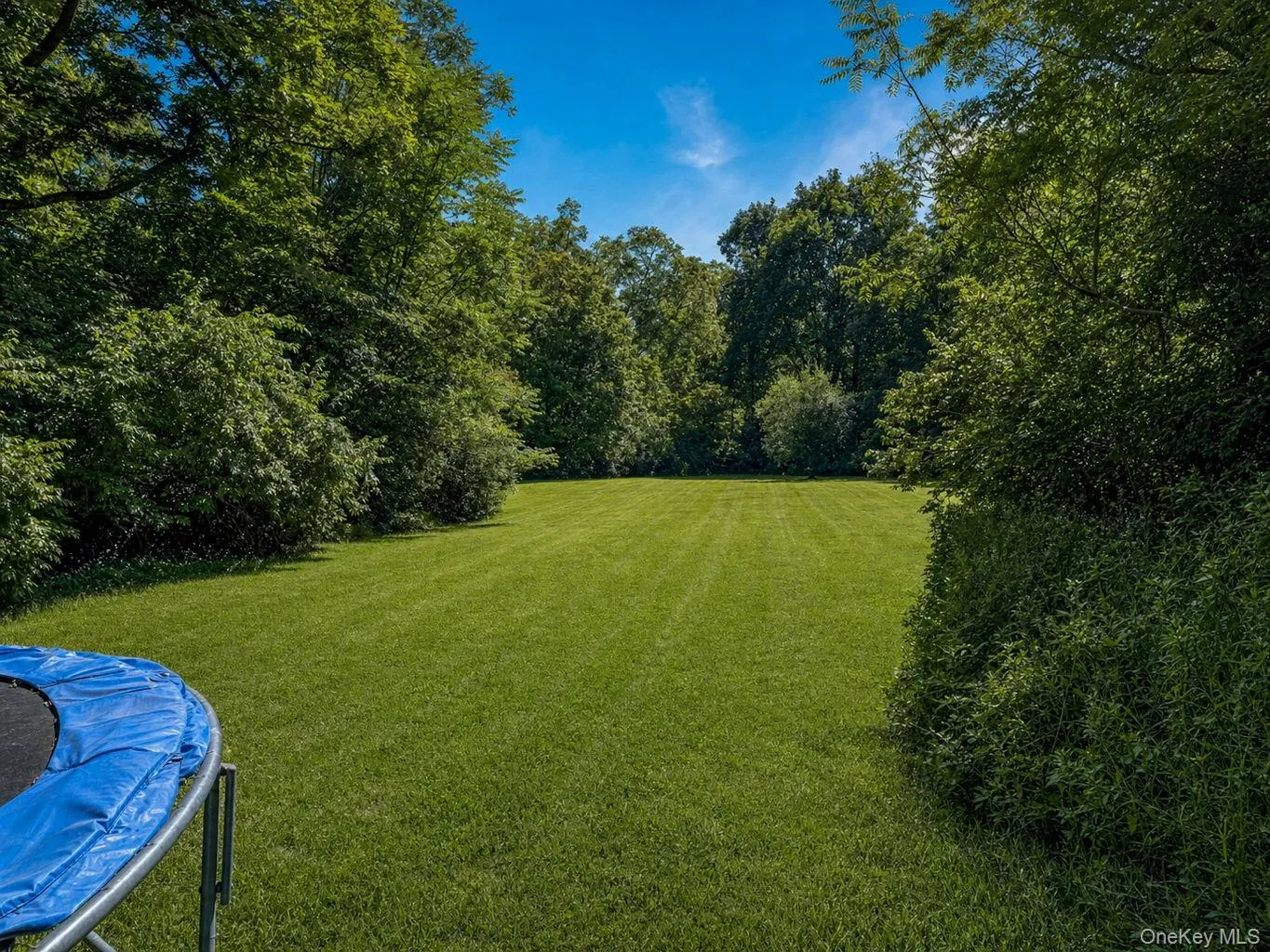Massive flat lot of a backyard with privacy Massive flat lot of a backyard with privacy