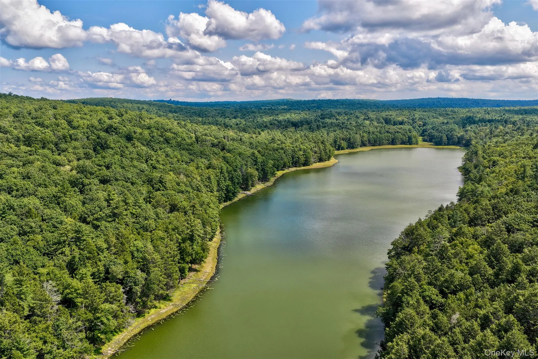 184 Mahls Pond Road, Tusten, NY, 3 Bedrooms Bedrooms, 8 Rooms Rooms,2 BathroomsBathrooms,Residential,For Rent,Mahls Pond,0,1045177 184 Mahls Pond Road, Tusten, NY, 3 Bedrooms Bedrooms, 8 Rooms Rooms,2 BathroomsBathrooms,Residential,For Rent,Mahls Pond,0,1045177