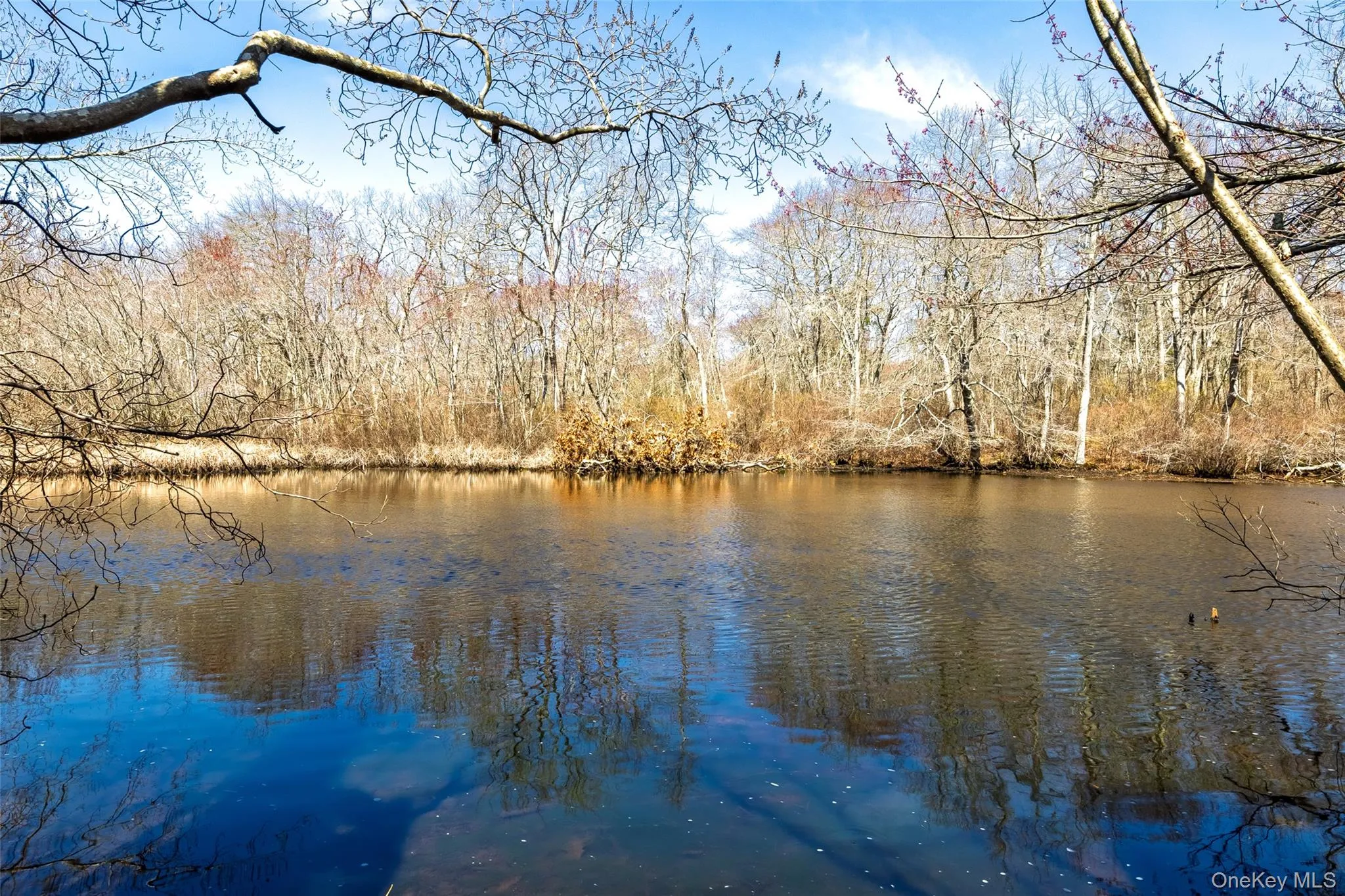 Water view Water view