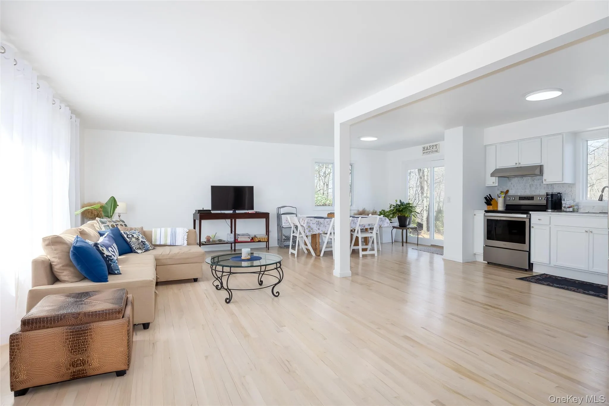 Living room with light wood-style floors and healthy amount of natural light Living room with light wood-style floors and healthy amount of natural light