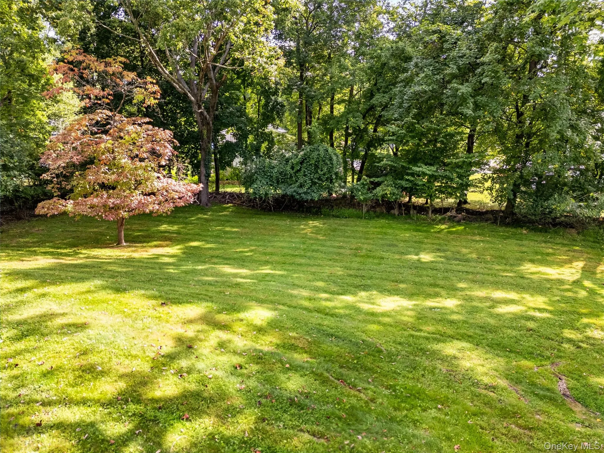 92 Kings Highway, Clarkstown, NY, 7 Bedrooms Bedrooms, 12 Rooms Rooms,2 BathroomsBathrooms,Residential,For Rent,Kings,0,1045187 92 Kings Highway, Clarkstown, NY, 7 Bedrooms Bedrooms, 12 Rooms Rooms,2 BathroomsBathrooms,Residential,For Rent,Kings,0,1045187