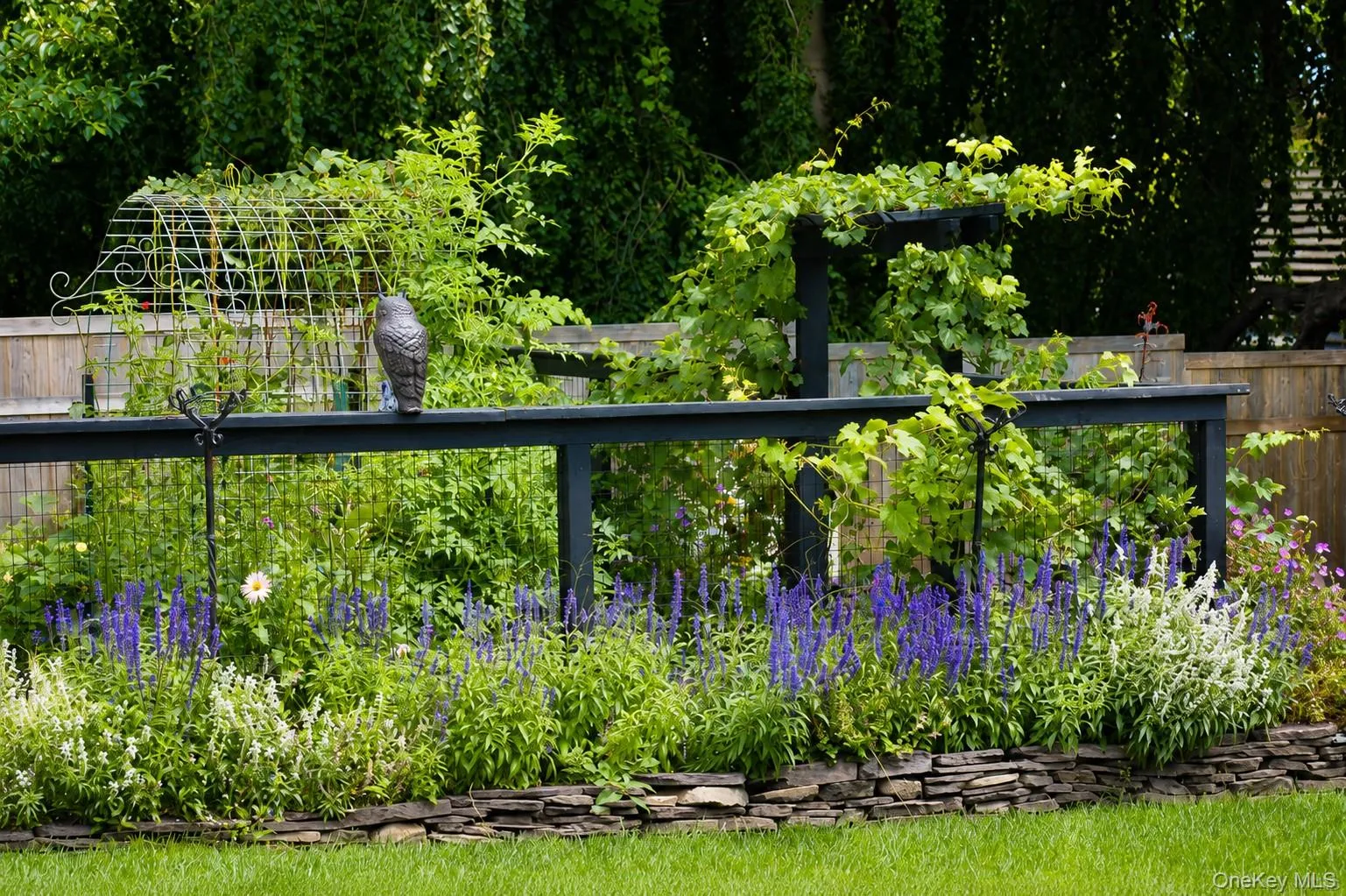 Fenced in Garden Area Fenced in Garden Area