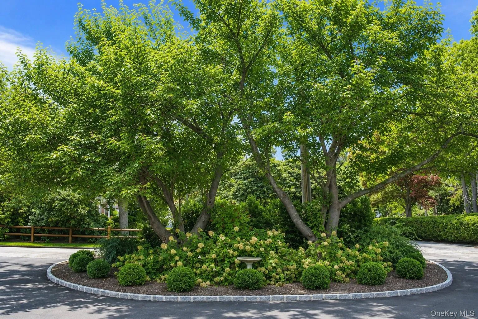 Professionally Landscaped Professionally Landscaped