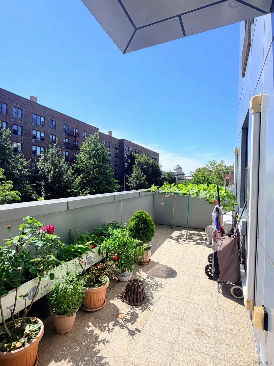 8616 21st Avenue, New York, NY, 2 Bedrooms Bedrooms, 5 Rooms Rooms,1 BathroomBathrooms,Residential,For Rent,21st,0,1045243 8616 21st Avenue, New York, NY, 2 Bedrooms Bedrooms, 5 Rooms Rooms,1 BathroomBathrooms,Residential,For Rent,21st,0,1045243