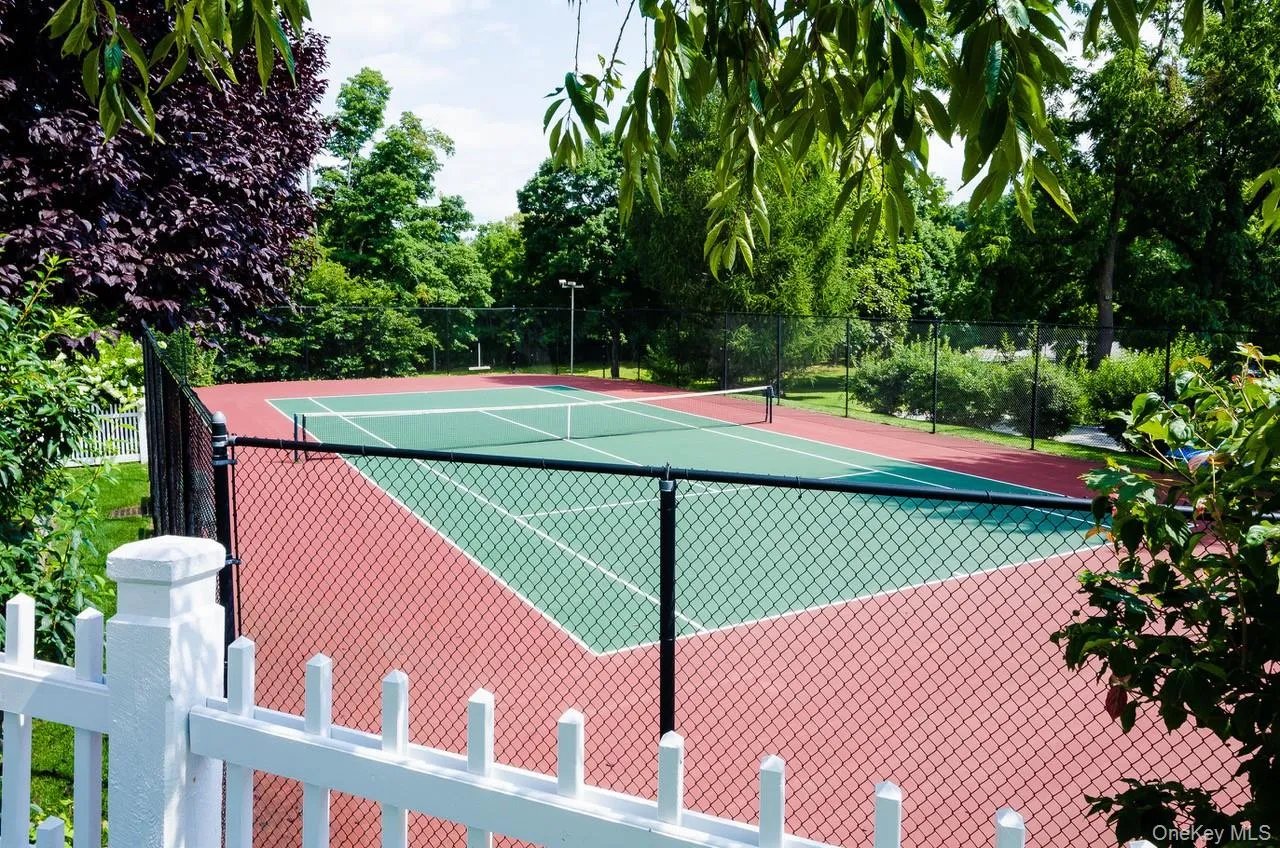 Tennis or pickle ball anyone? Tennis or pickle ball anyone?