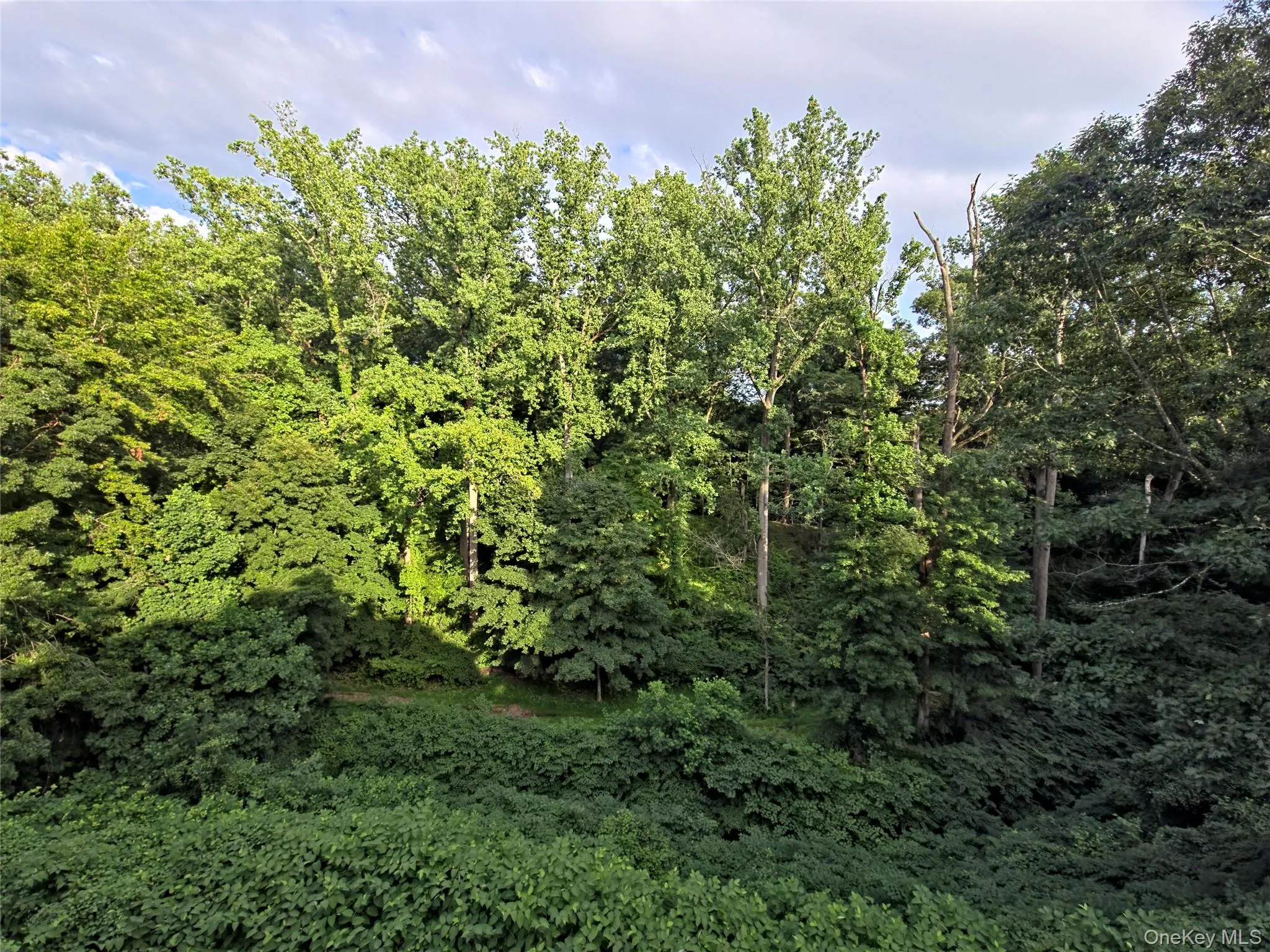 View of the back yard! View of the back yard!