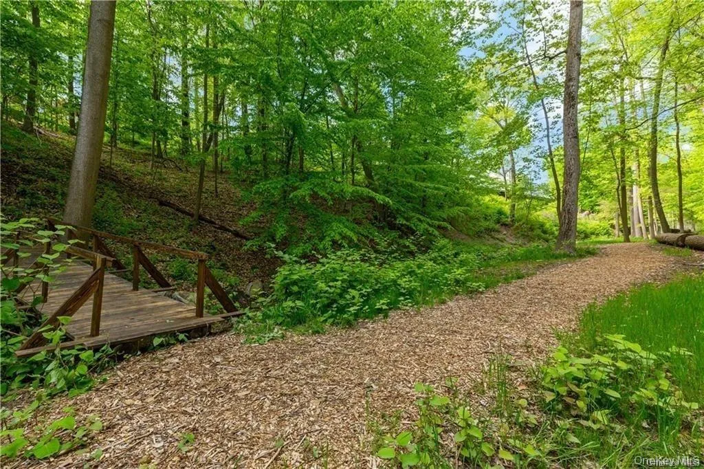 A walk along the nature trail is a great way to relax A walk along the nature trail is a great way to relax