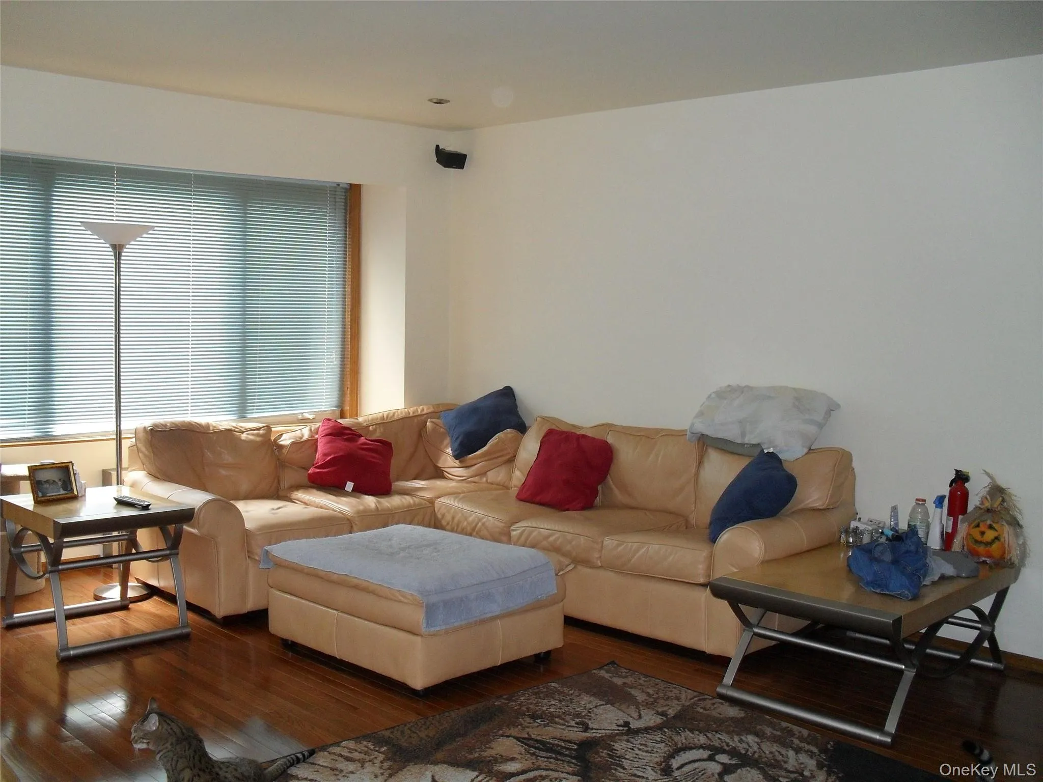 87-37 Union Turnpike, New York, NY, 3 Bedrooms Bedrooms, 7 Rooms Rooms,2 BathroomsBathrooms,Residential,For Rent,Union,0,1045250 87-37 Union Turnpike, New York, NY, 3 Bedrooms Bedrooms, 7 Rooms Rooms,2 BathroomsBathrooms,Residential,For Rent,Union,0,1045250