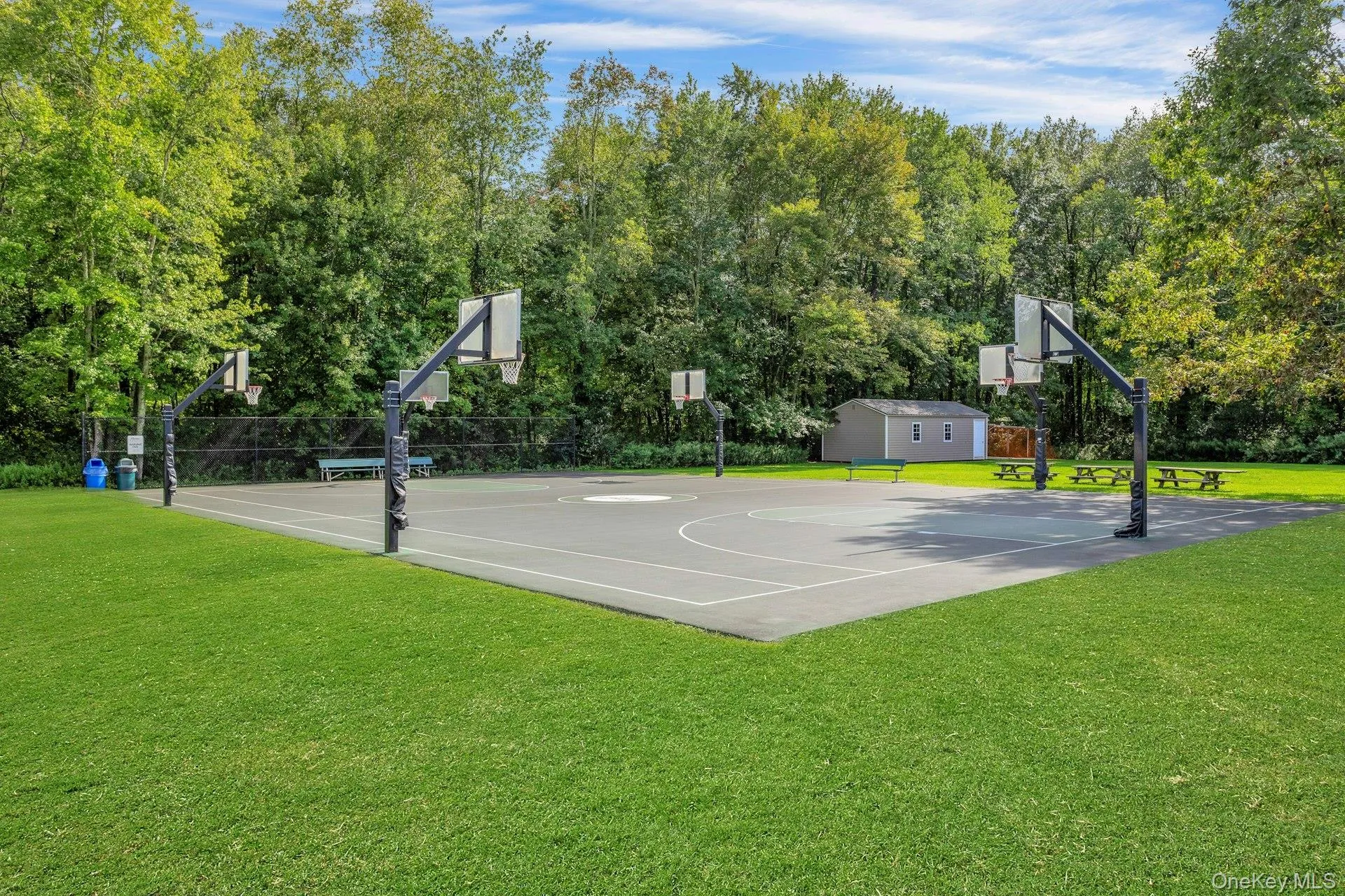 Town Park Basketball. Town Park Basketball.