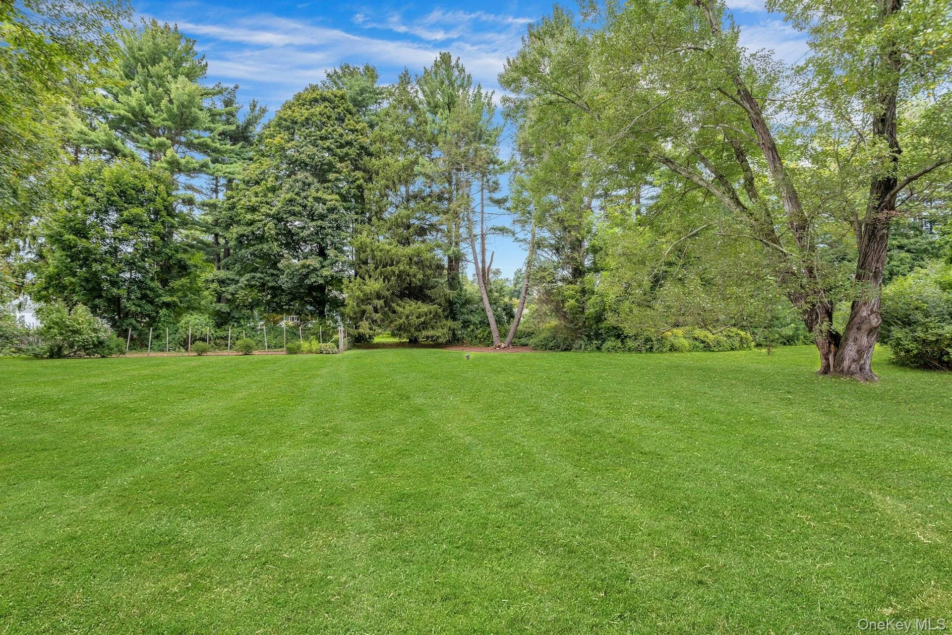 Beautiful park-like property. Beautiful park-like property.