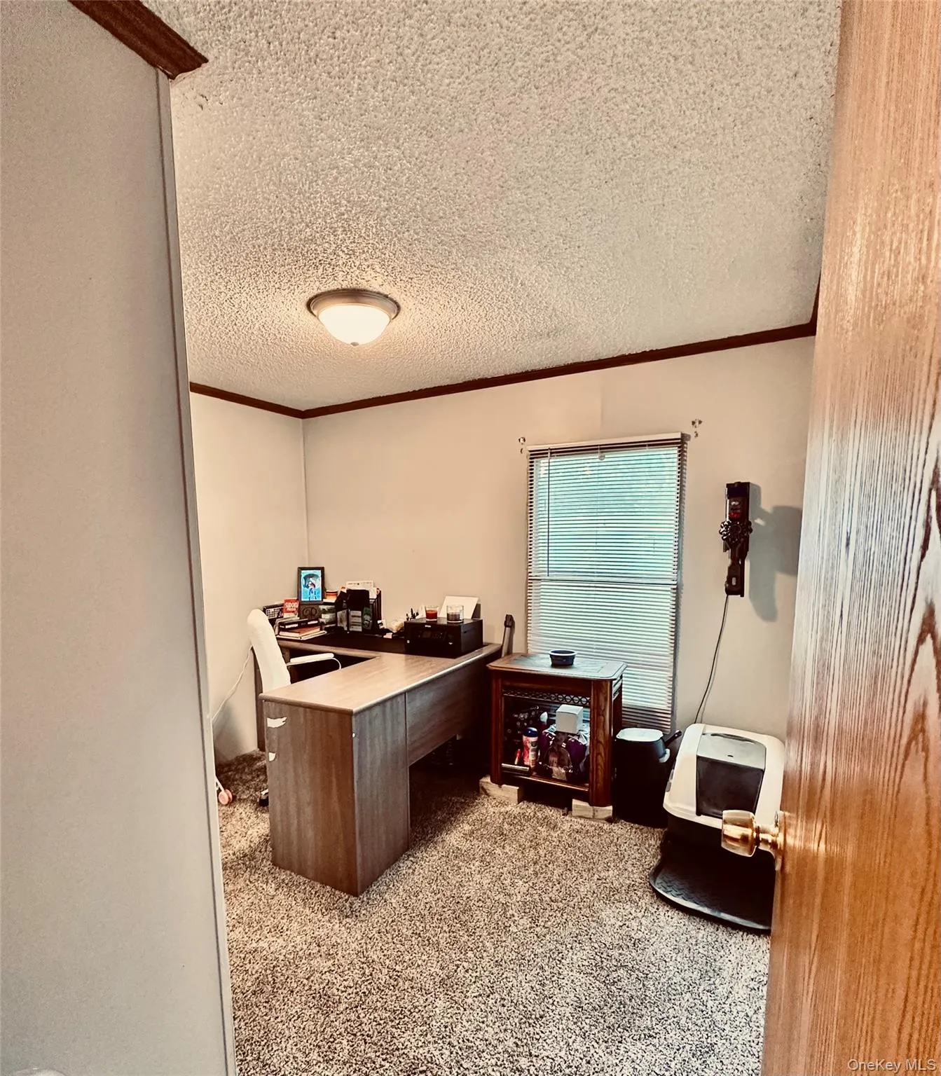 Textured carpeting and neutral wall paint are featured in this bedroom currently used as an office. Textured carpeting and neutral wall paint are featured in this bedroom currently used as an office.