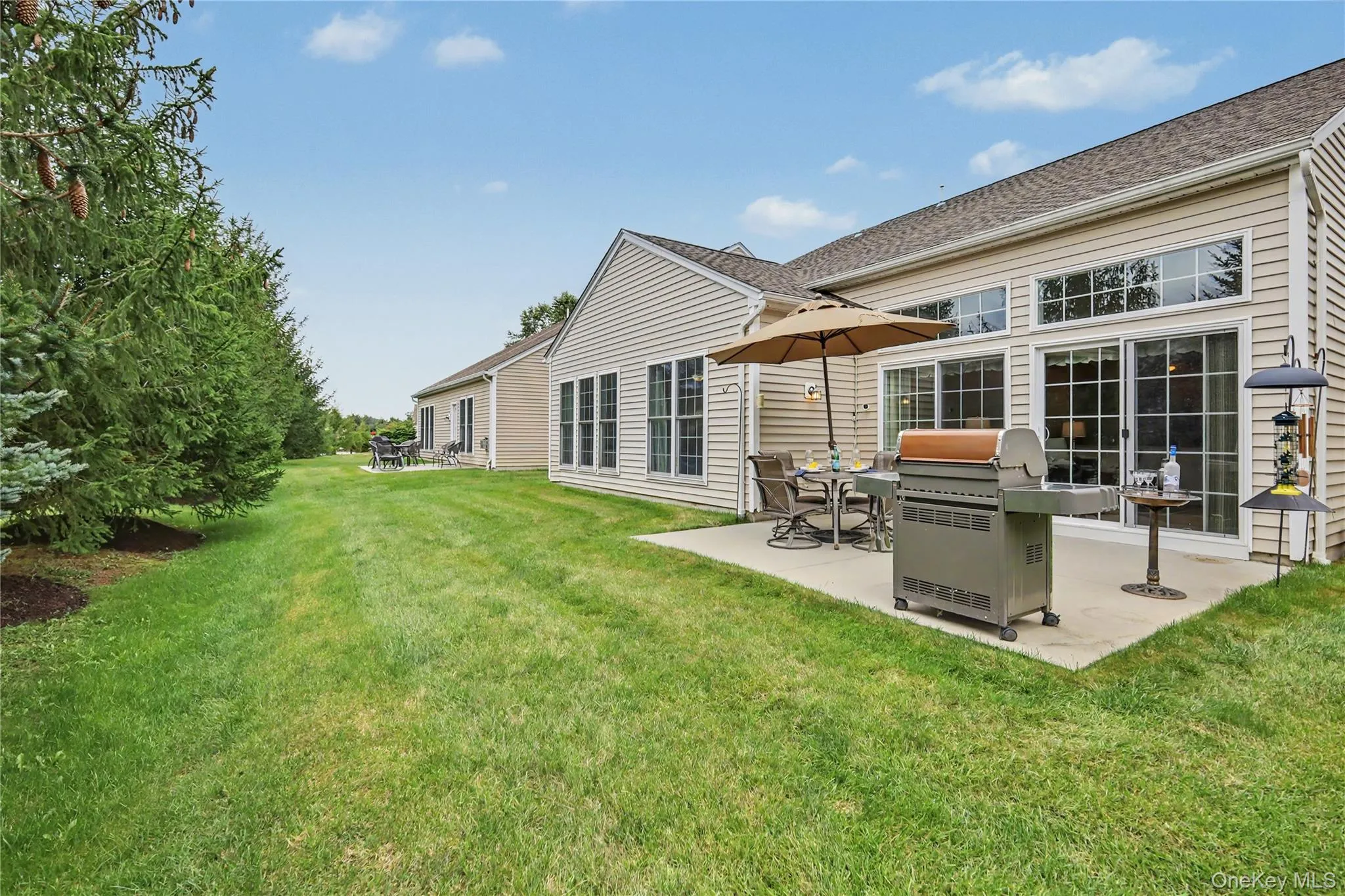 Expansive green space with mature evergreen trees and a concrete patio Expansive green space with mature evergreen trees and a concrete patio
