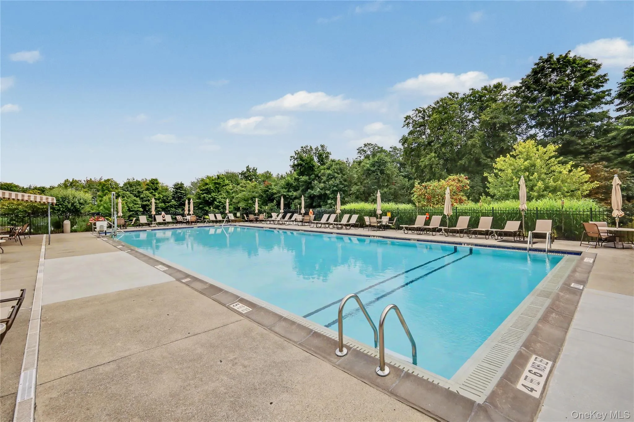 Expansive outdoor swimming pool with concrete decking, surrounding mature trees, and a shaded lounge area Expansive outdoor swimming pool with concrete decking, surrounding mature trees, and a shaded lounge area