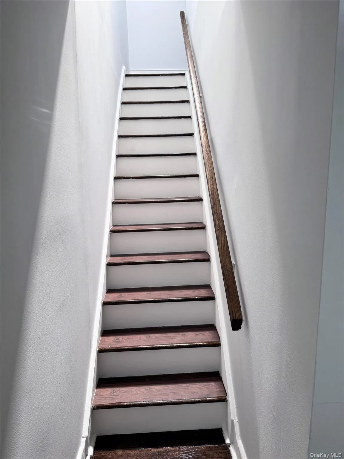 86-18 95th Avenue, New York, NY, 3 Bedrooms Bedrooms, 7 Rooms Rooms,2 BathroomsBathrooms,Residential Lease,For Rent,95th,0,1045336 86-18 95th Avenue, New York, NY, 3 Bedrooms Bedrooms, 7 Rooms Rooms,2 BathroomsBathrooms,Residential Lease,For Rent,95th,0,1045336