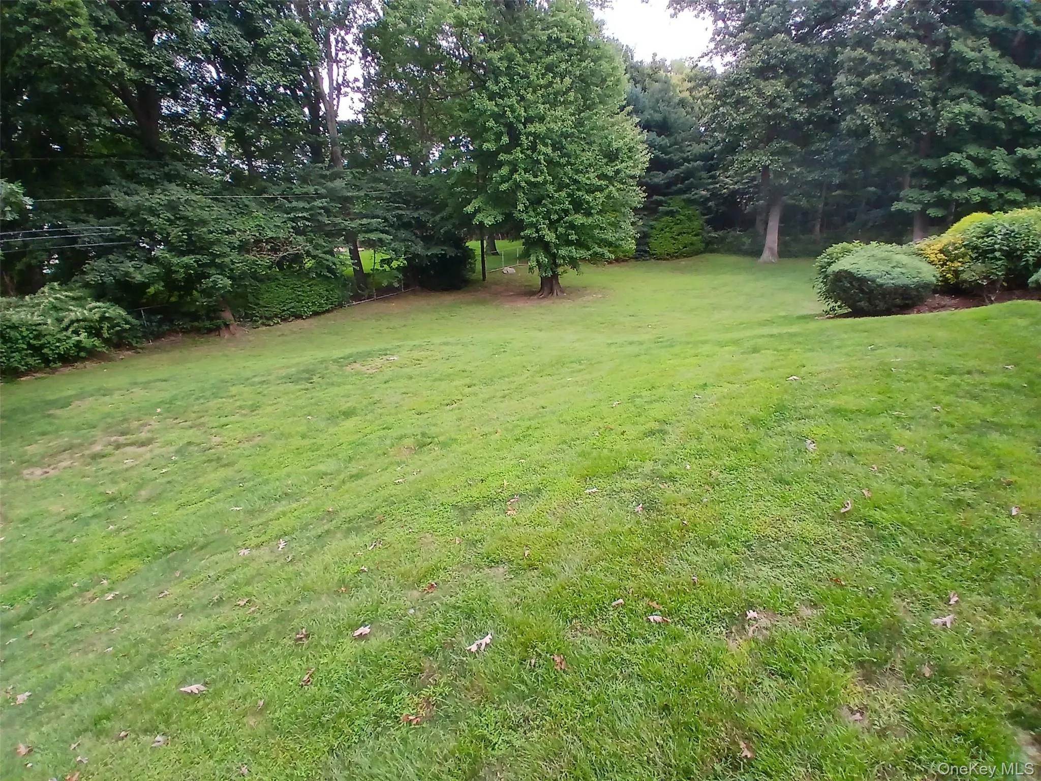 Expansive green space featuring mature trees and established landscaping Expansive green space featuring mature trees and established landscaping