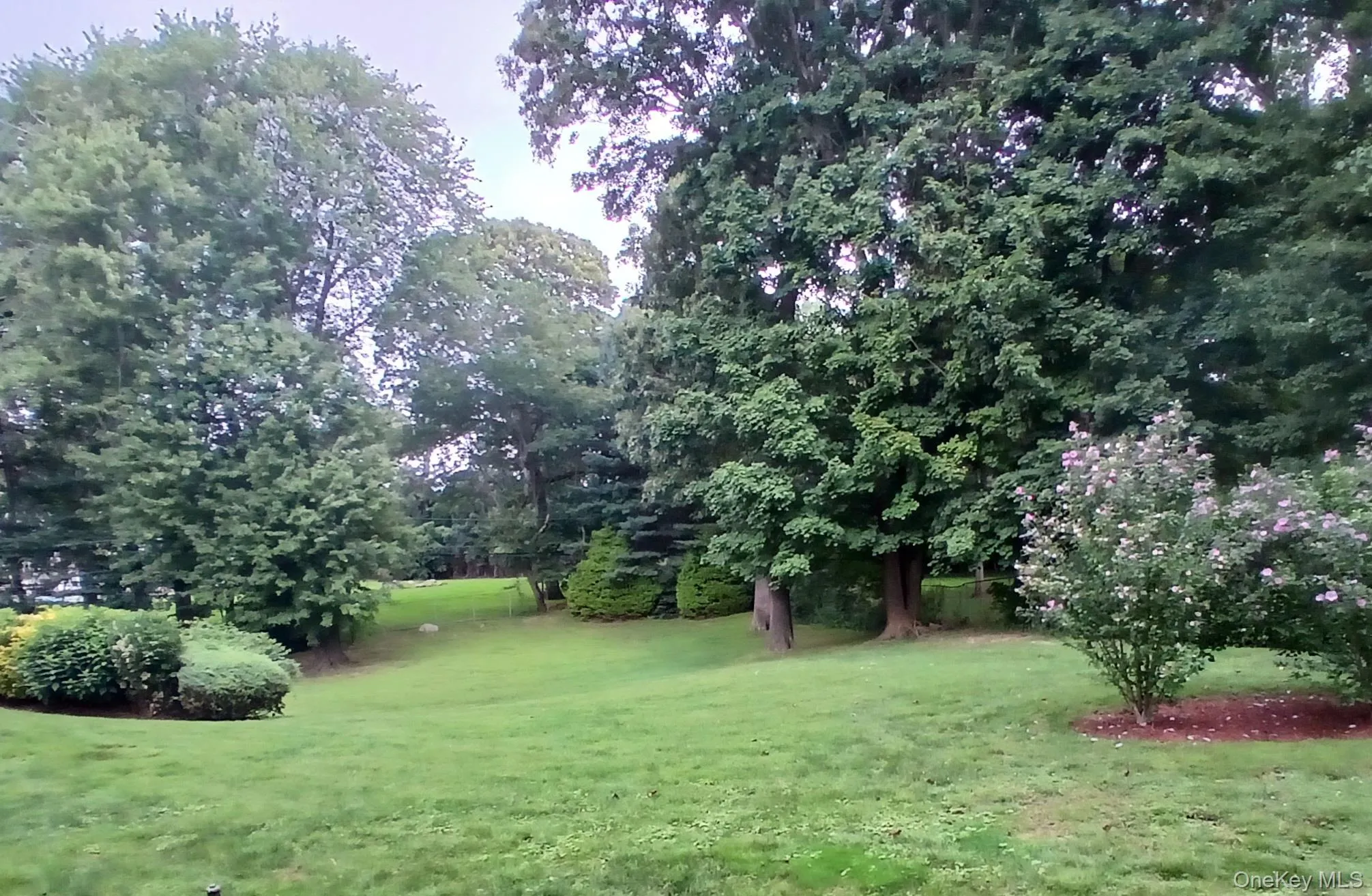 Expansive lawn area with mature trees and established shrubbery Expansive lawn area with mature trees and established shrubbery