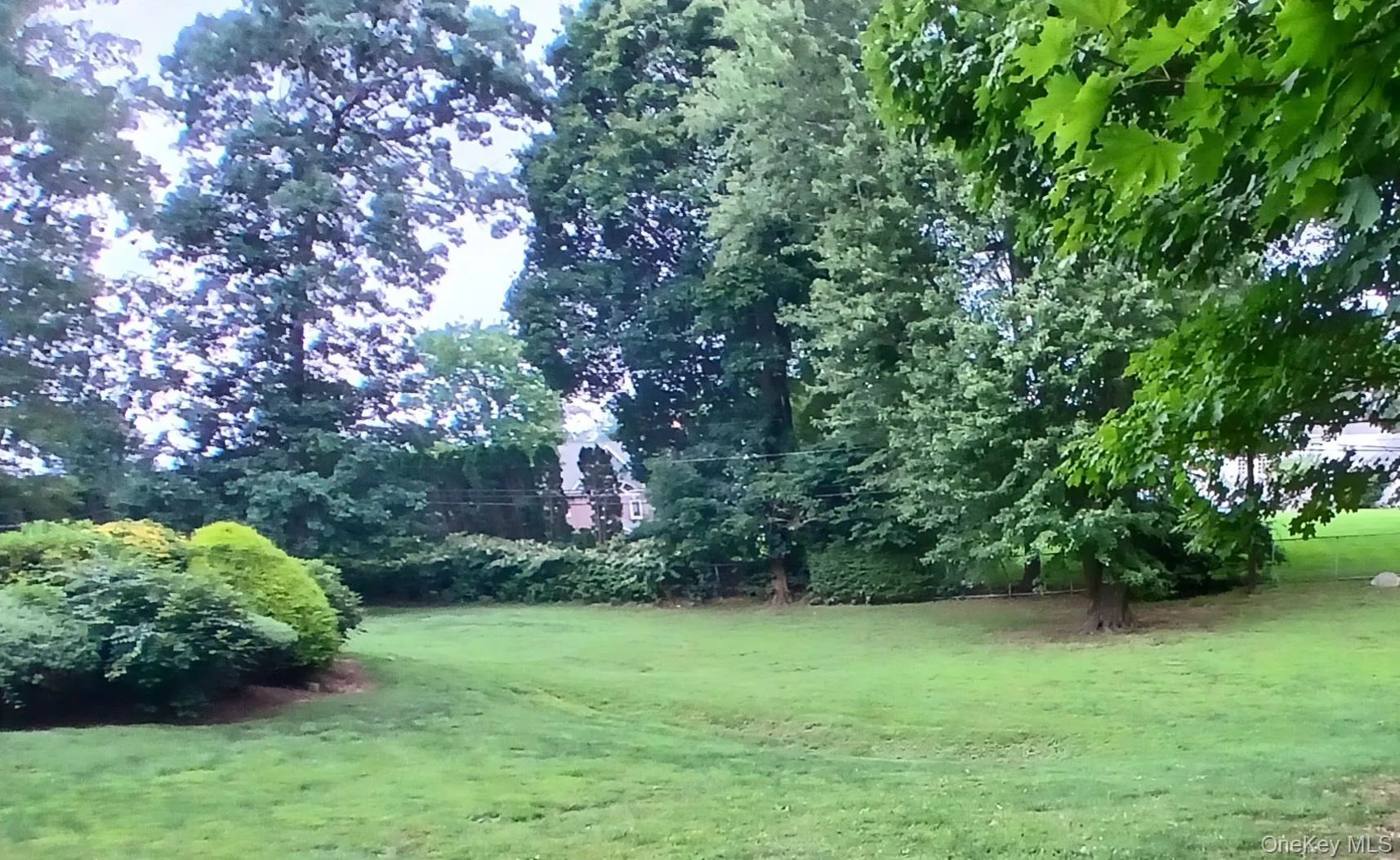 Expansive grass lawn with mature trees and established perimeter landscaping Expansive grass lawn with mature trees and established perimeter landscaping