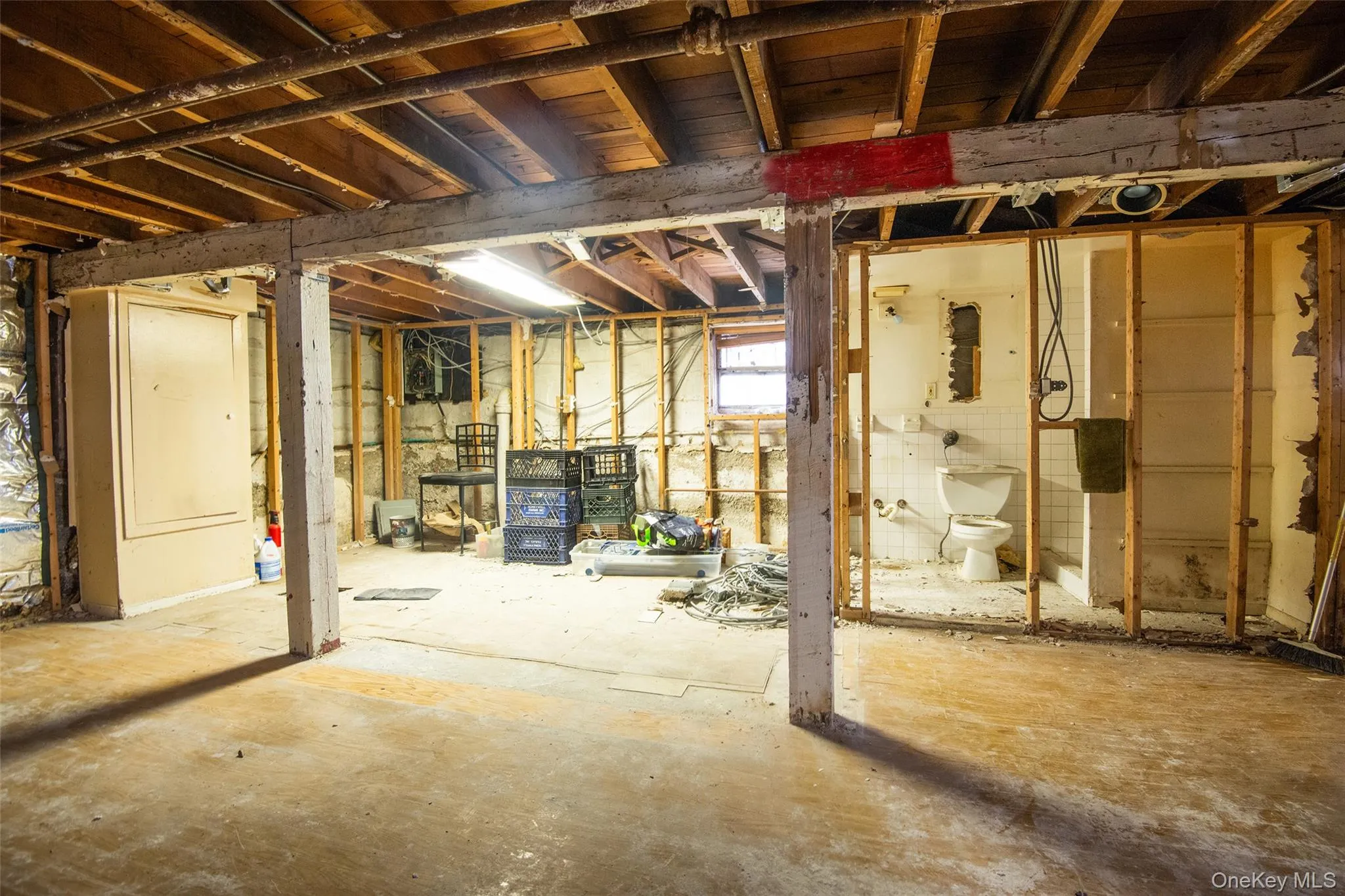 916 Hollywood Avenue, New York, NY, 3 Bedrooms Bedrooms, 5 Rooms Rooms,1 BathroomBathrooms,Residential,For Rent,Hollywood,0,1045353 916 Hollywood Avenue, New York, NY, 3 Bedrooms Bedrooms, 5 Rooms Rooms,1 BathroomBathrooms,Residential,For Rent,Hollywood,0,1045353