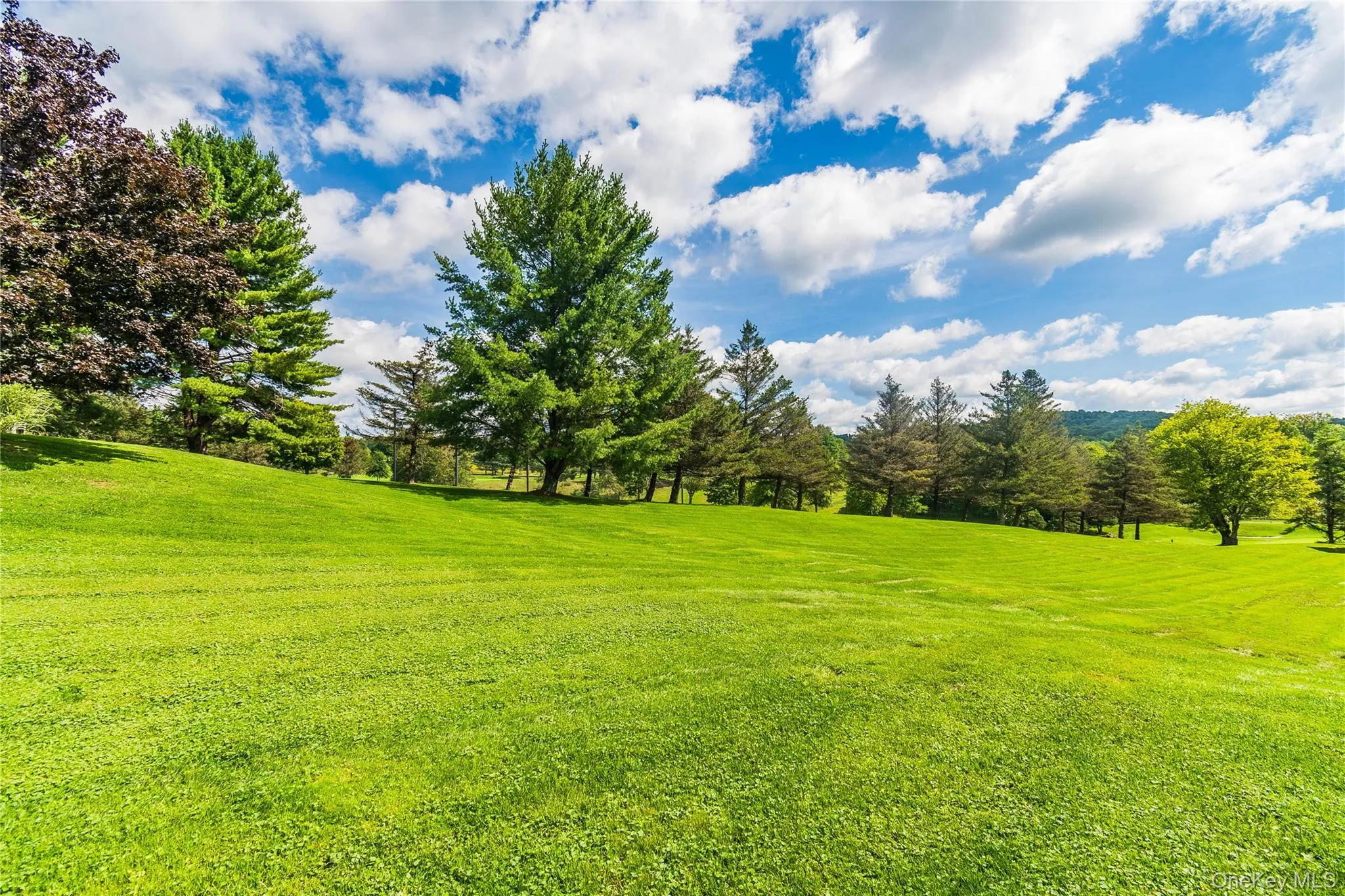 4 Joe D Drive, Callicoon, NY, 2 Bedrooms Bedrooms, 4 Rooms Rooms,2 BathroomsBathrooms,Residential,For Rent,Joe D,0,1045360 4 Joe D Drive, Callicoon, NY, 2 Bedrooms Bedrooms, 4 Rooms Rooms,2 BathroomsBathrooms,Residential,For Rent,Joe D,0,1045360