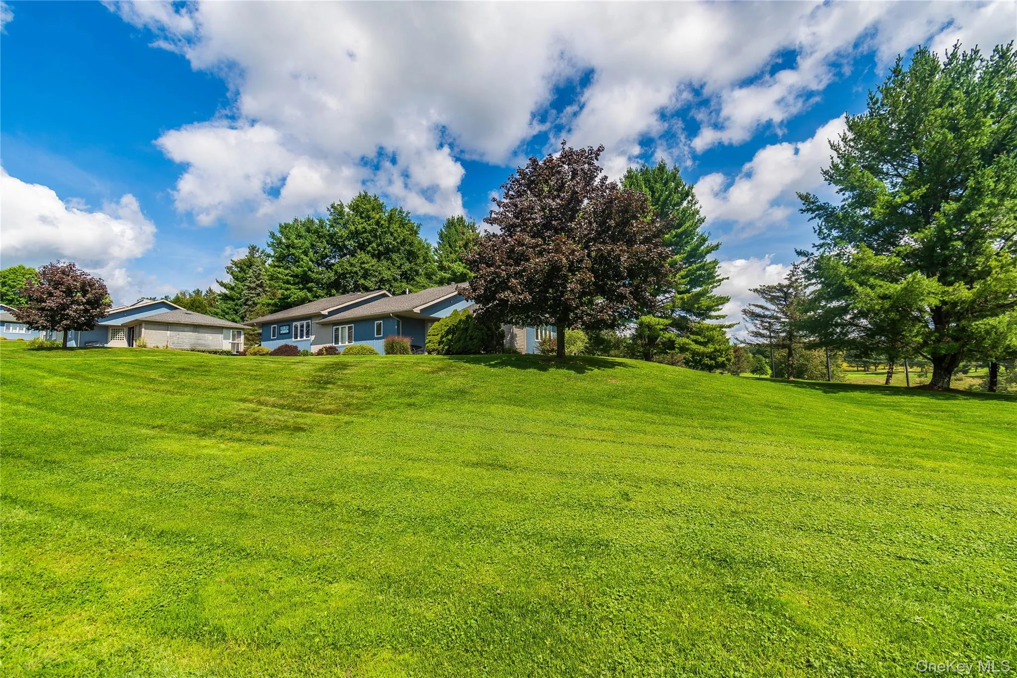 4 Joe D Drive, Callicoon, NY, 2 Bedrooms Bedrooms, 4 Rooms Rooms,2 BathroomsBathrooms,Residential,For Rent,Joe D,0,1045360 4 Joe D Drive, Callicoon, NY, 2 Bedrooms Bedrooms, 4 Rooms Rooms,2 BathroomsBathrooms,Residential,For Rent,Joe D,0,1045360