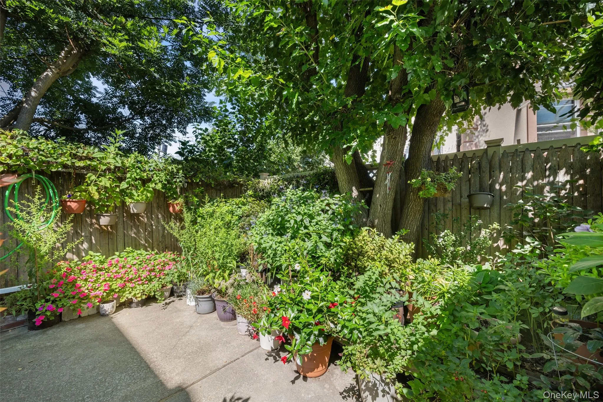 75-31 Furmanville Avenue, New York, NY, 3 Bedrooms Bedrooms, 12 Rooms Rooms,2 BathroomsBathrooms,Residential,For Rent,Furmanville,0,1045378 75-31 Furmanville Avenue, New York, NY, 3 Bedrooms Bedrooms, 12 Rooms Rooms,2 BathroomsBathrooms,Residential,For Rent,Furmanville,0,1045378