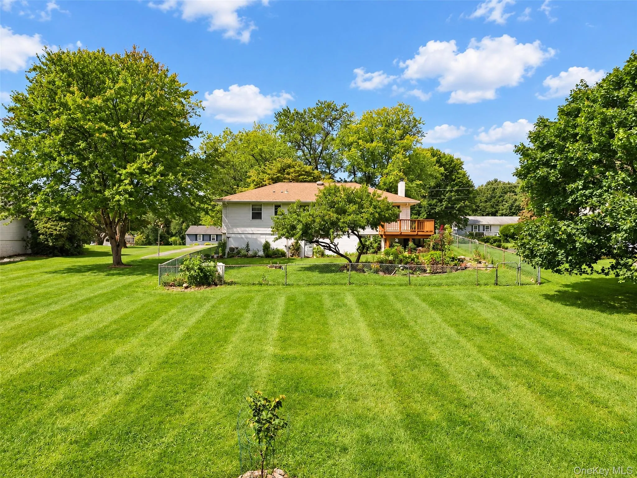 Expansive green lawn with striped mowing pattern, mature trees, and a raised wooden deck with railings Expansive green lawn with striped mowing pattern, mature trees, and a raised wooden deck with railings