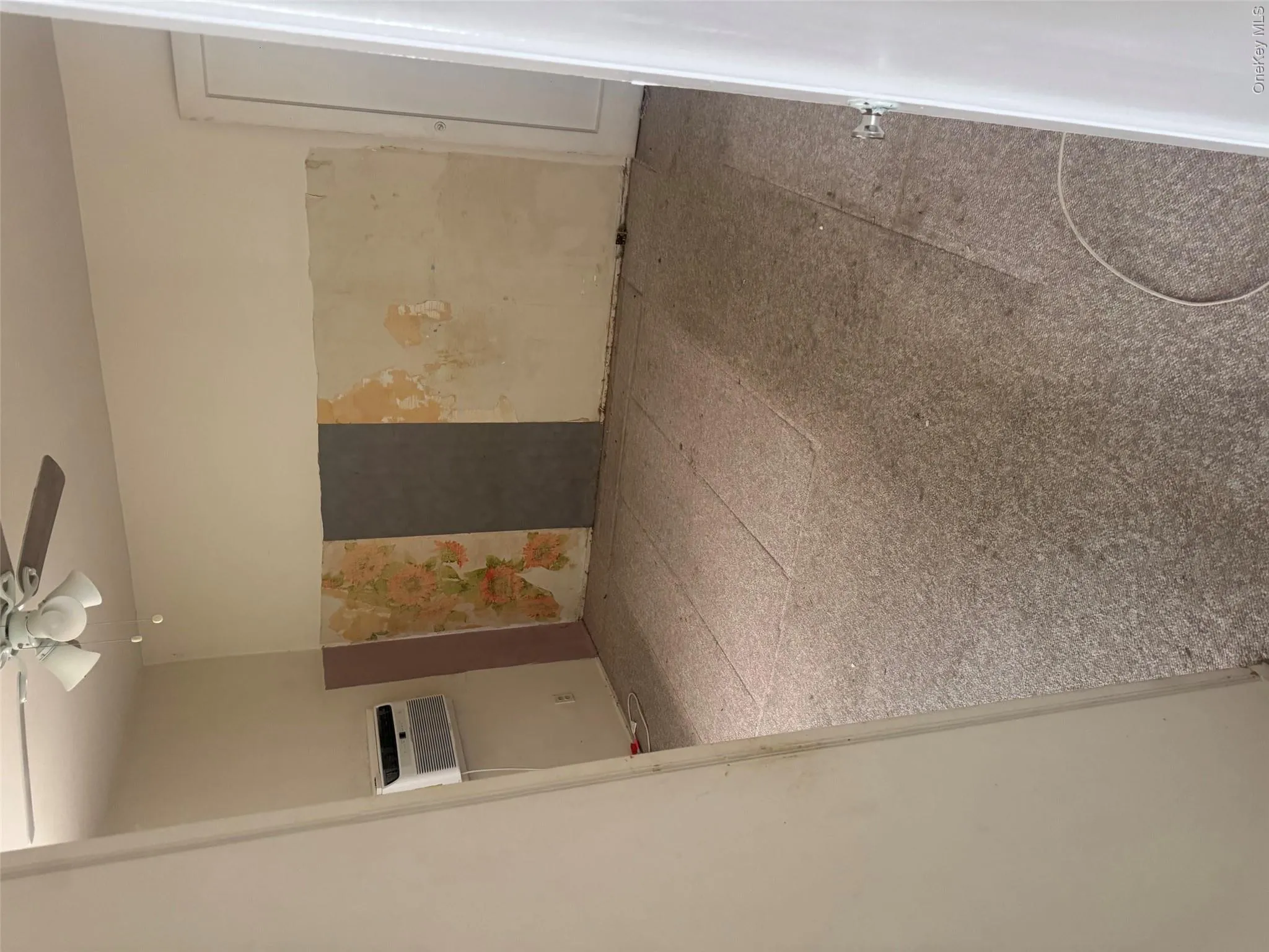 253-24 61st avenue, New York, NY, 3 Bedrooms Bedrooms, 5 Rooms Rooms,1 BathroomBathrooms,Residential,For Rent,61st avenue,0,1045403 253-24 61st avenue, New York, NY, 3 Bedrooms Bedrooms, 5 Rooms Rooms,1 BathroomBathrooms,Residential,For Rent,61st avenue,0,1045403