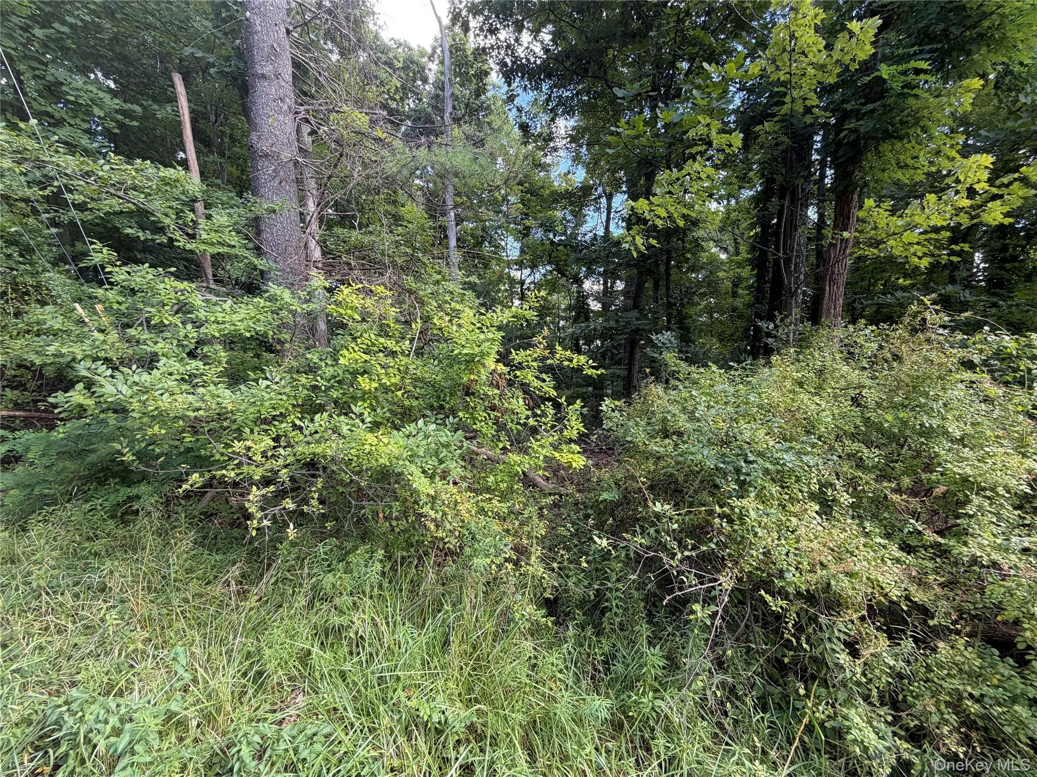 Lot 20.1 Mt Prosper Road, Mamakating, NY, ,Land,For Rent,Mt Prosper,0,1045418 Lot 20.1 Mt Prosper Road, Mamakating, NY, ,Land,For Rent,Mt Prosper,0,1045418