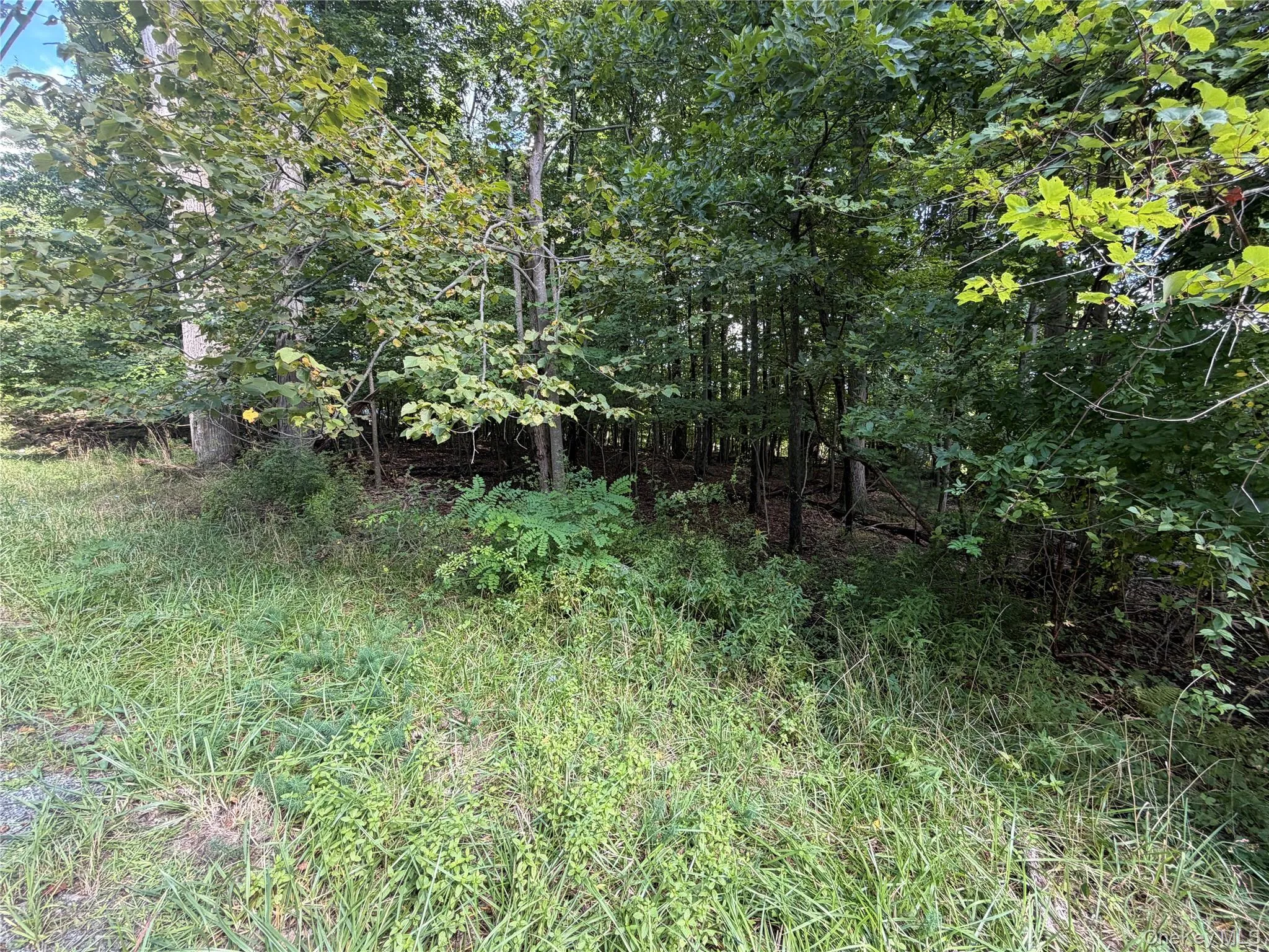 Lot 20.1 Mt Prosper Road, Mamakating, NY, ,Land,For Rent,Mt Prosper,0,1045418 Lot 20.1 Mt Prosper Road, Mamakating, NY, ,Land,For Rent,Mt Prosper,0,1045418