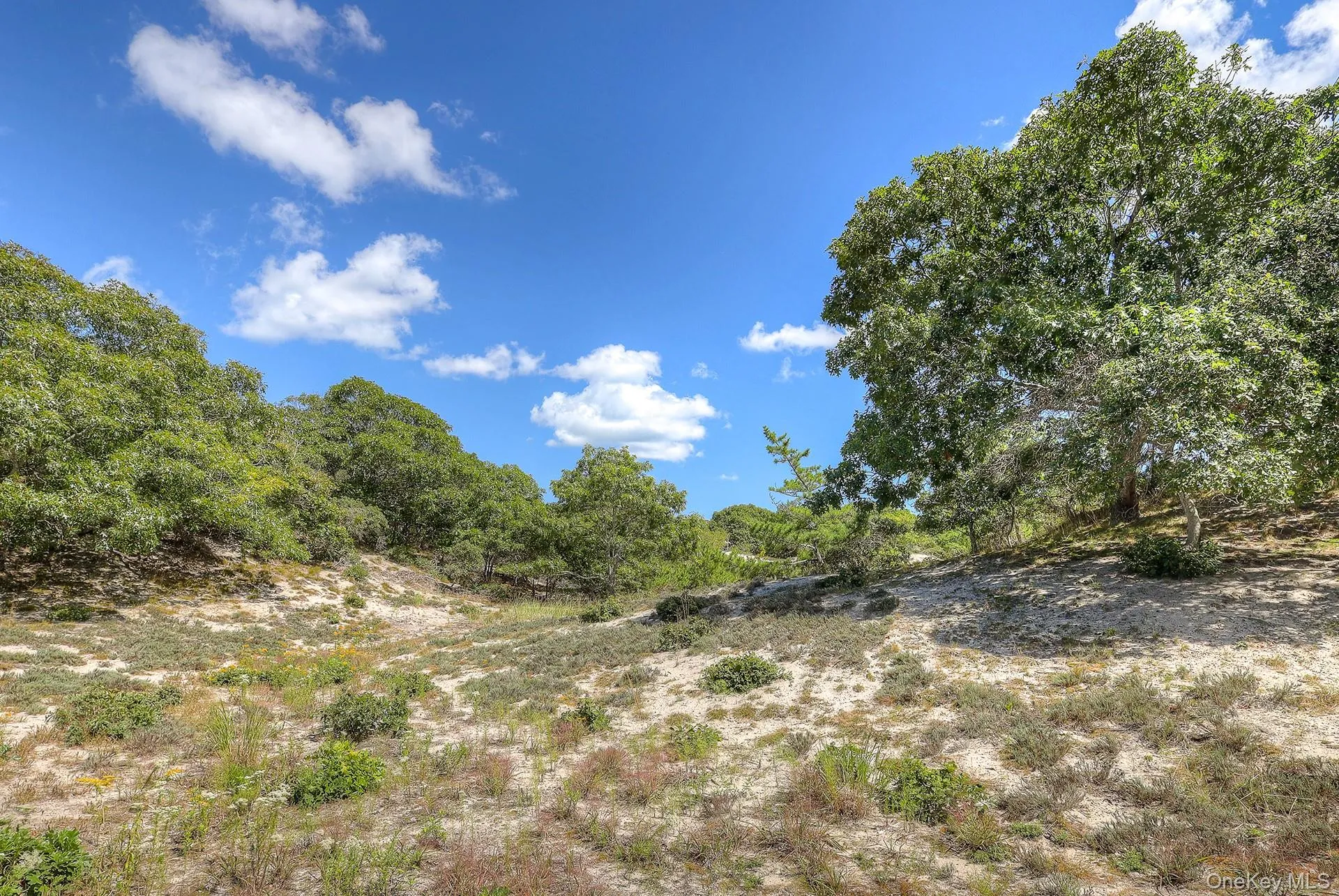 18 Cliff Road, East Hampton, NY, 3 Bedrooms Bedrooms, 9 Rooms Rooms,2 BathroomsBathrooms,Residential,For Rent,Cliff,0,1045420 18 Cliff Road, East Hampton, NY, 3 Bedrooms Bedrooms, 9 Rooms Rooms,2 BathroomsBathrooms,Residential,For Rent,Cliff,0,1045420