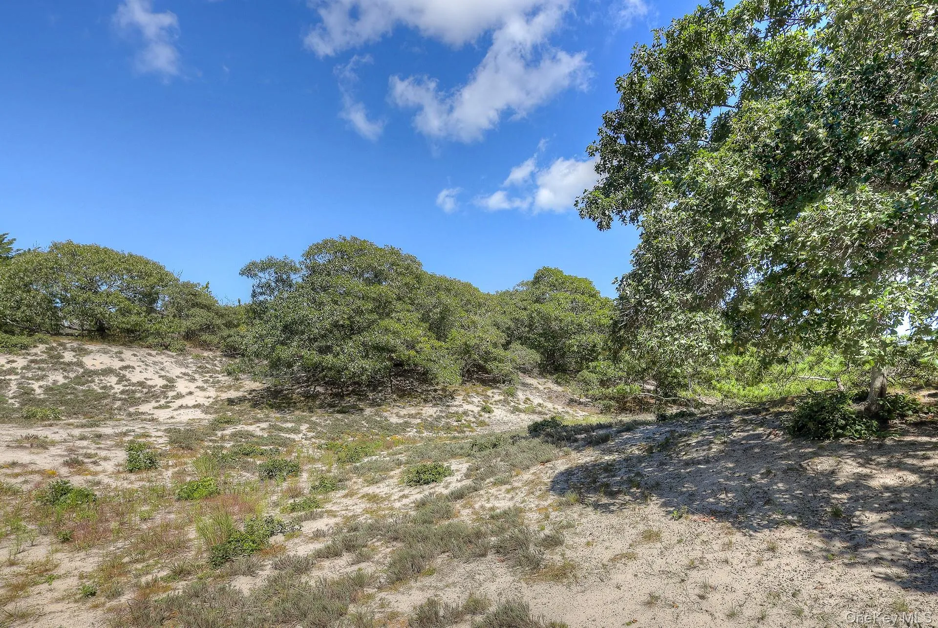 18 Cliff Road, East Hampton, NY, 3 Bedrooms Bedrooms, 9 Rooms Rooms,2 BathroomsBathrooms,Residential,For Rent,Cliff,0,1045420 18 Cliff Road, East Hampton, NY, 3 Bedrooms Bedrooms, 9 Rooms Rooms,2 BathroomsBathrooms,Residential,For Rent,Cliff,0,1045420
