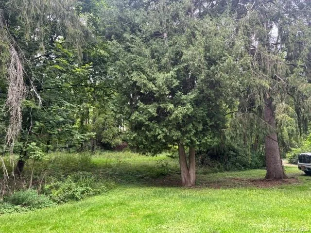 Manicured green lawn with mature evergreen trees and dense natural foliage Manicured green lawn with mature evergreen trees and dense natural foliage
