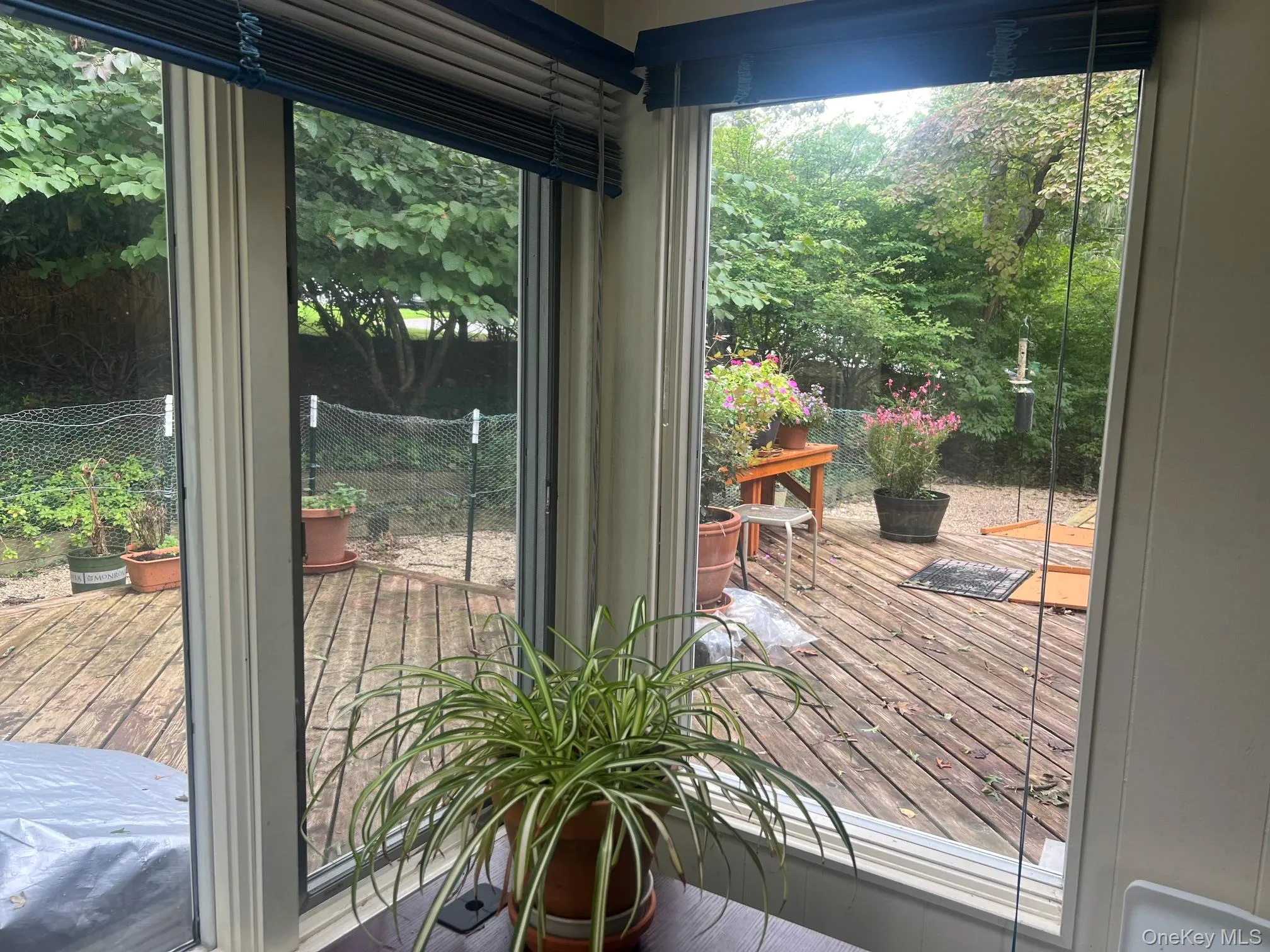 40 Laurel Drive, Brookhaven, NY, 3 Bedrooms Bedrooms, 6 Rooms Rooms,1 BathroomBathrooms,Residential,For Rent,Laurel,0,1045478 40 Laurel Drive, Brookhaven, NY, 3 Bedrooms Bedrooms, 6 Rooms Rooms,1 BathroomBathrooms,Residential,For Rent,Laurel,0,1045478