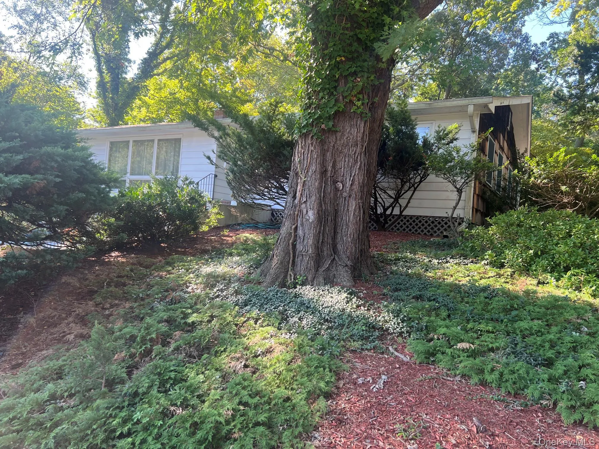40 Laurel Drive, Brookhaven, NY, 3 Bedrooms Bedrooms, 6 Rooms Rooms,1 BathroomBathrooms,Residential,For Rent,Laurel,0,1045478 40 Laurel Drive, Brookhaven, NY, 3 Bedrooms Bedrooms, 6 Rooms Rooms,1 BathroomBathrooms,Residential,For Rent,Laurel,0,1045478
