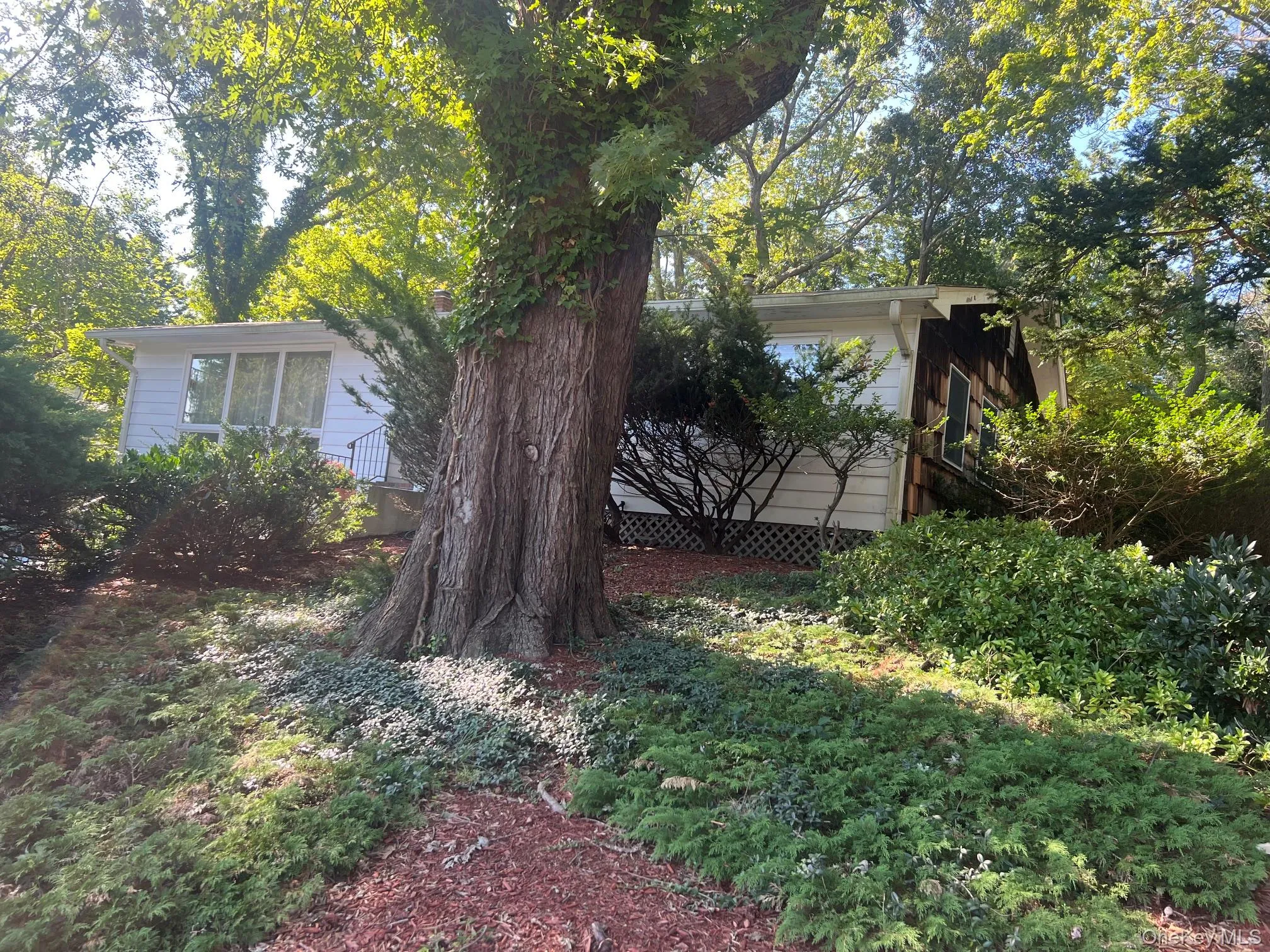 40 Laurel Drive, Brookhaven, NY, 3 Bedrooms Bedrooms, 6 Rooms Rooms,1 BathroomBathrooms,Residential,For Rent,Laurel,0,1045478 40 Laurel Drive, Brookhaven, NY, 3 Bedrooms Bedrooms, 6 Rooms Rooms,1 BathroomBathrooms,Residential,For Rent,Laurel,0,1045478