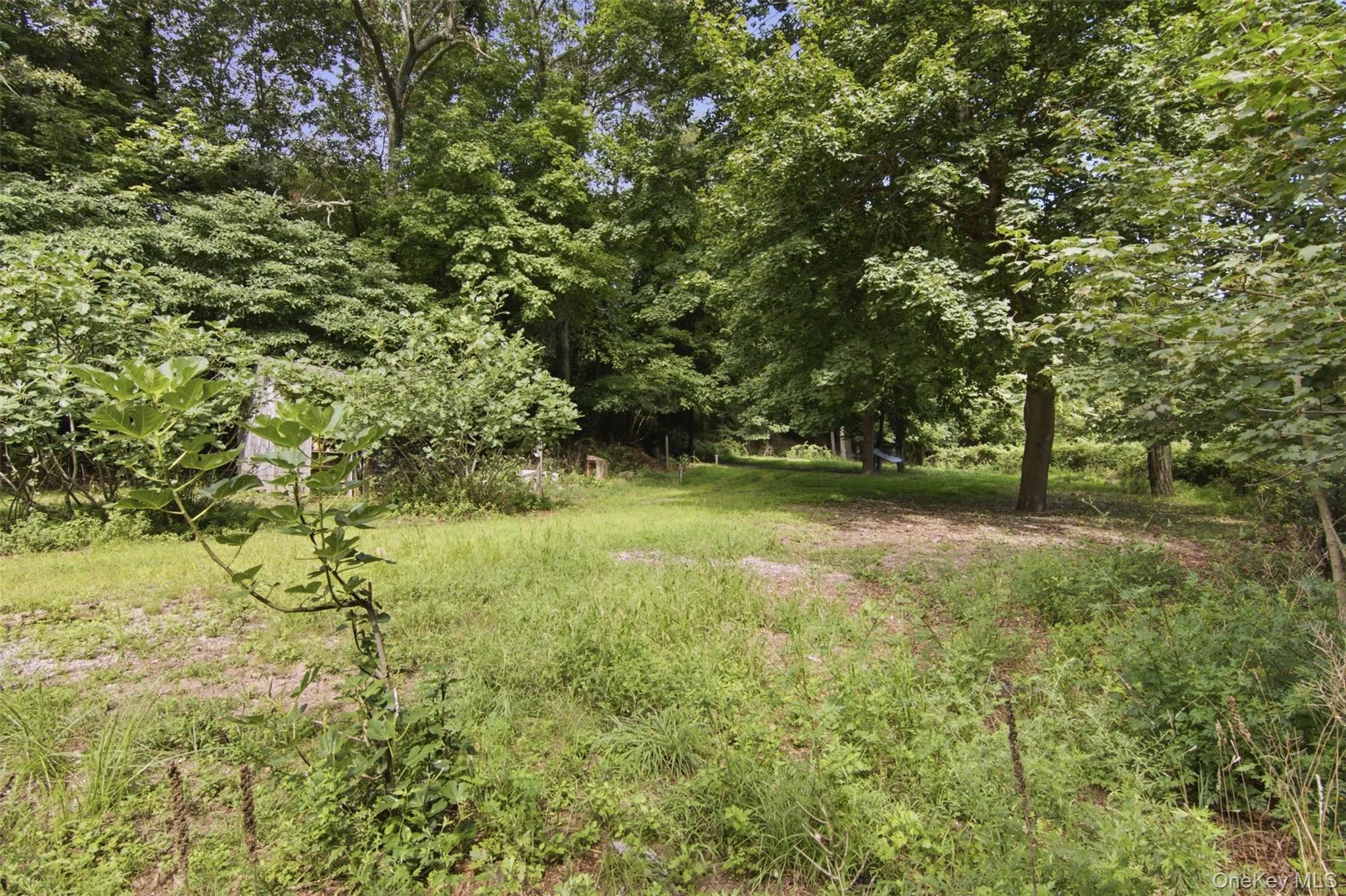 69 Ridgeway Avenue, Brookhaven, NY, 3 Bedrooms Bedrooms, 7 Rooms Rooms,1 BathroomBathrooms,Residential,For Rent,Ridgeway,0,1045503 69 Ridgeway Avenue, Brookhaven, NY, 3 Bedrooms Bedrooms, 7 Rooms Rooms,1 BathroomBathrooms,Residential,For Rent,Ridgeway,0,1045503
