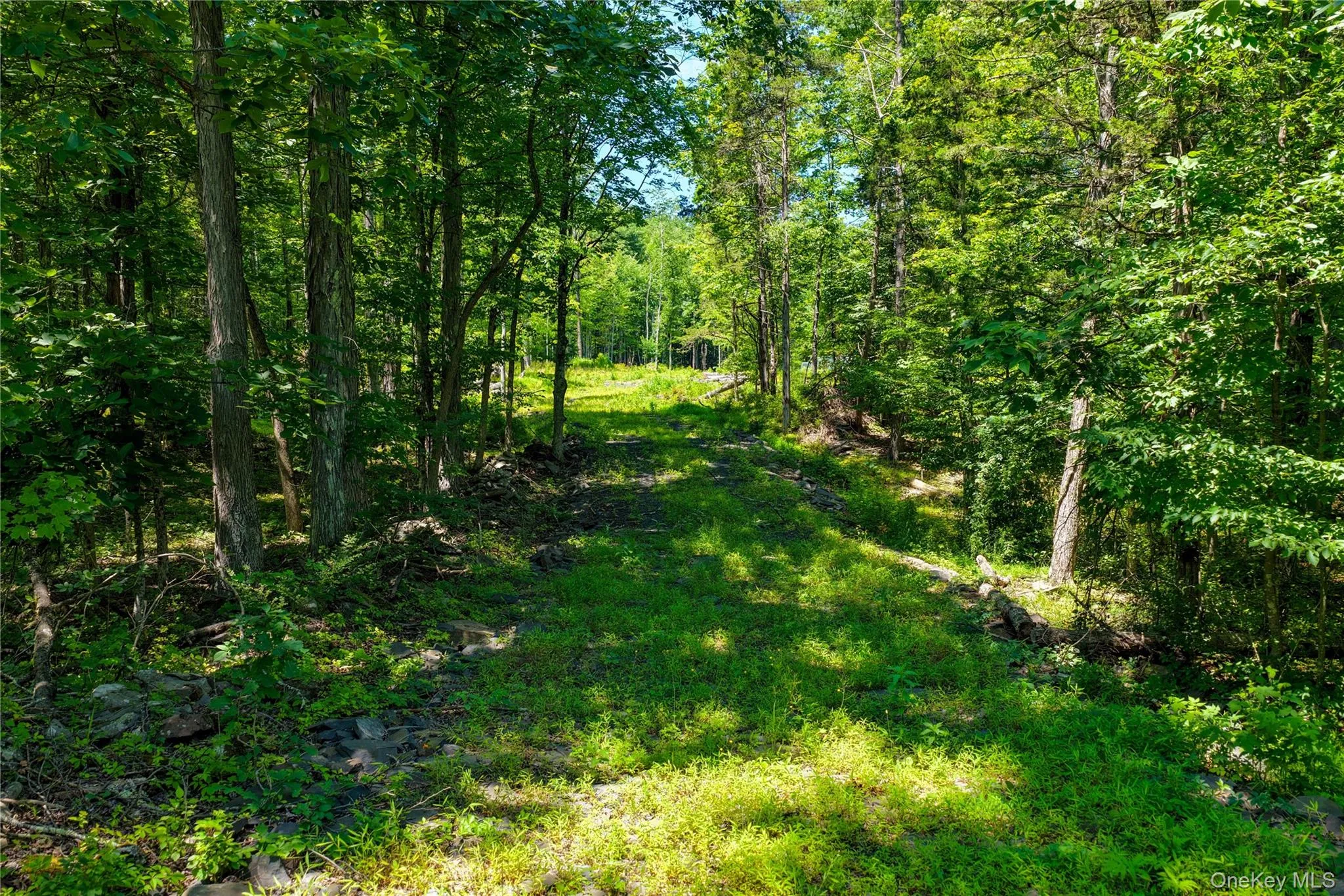 153 Roosevelt Avenue, Cairo, NY, ,Land,For Rent,Roosevelt,0,1045511 153 Roosevelt Avenue, Cairo, NY, ,Land,For Rent,Roosevelt,0,1045511
