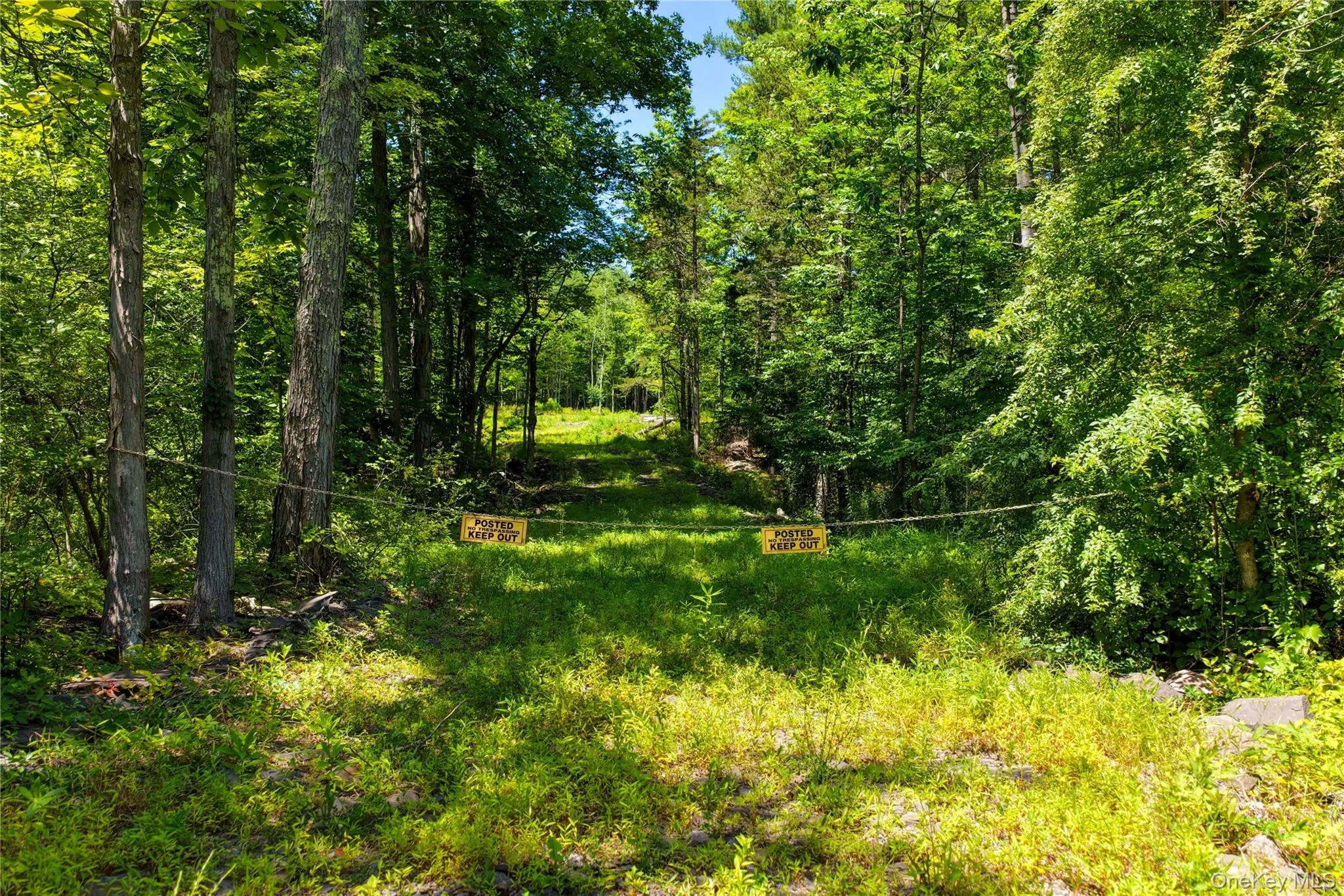153 Roosevelt Avenue, Cairo, NY, ,Land,For Rent,Roosevelt,0,1045511 153 Roosevelt Avenue, Cairo, NY, ,Land,For Rent,Roosevelt,0,1045511