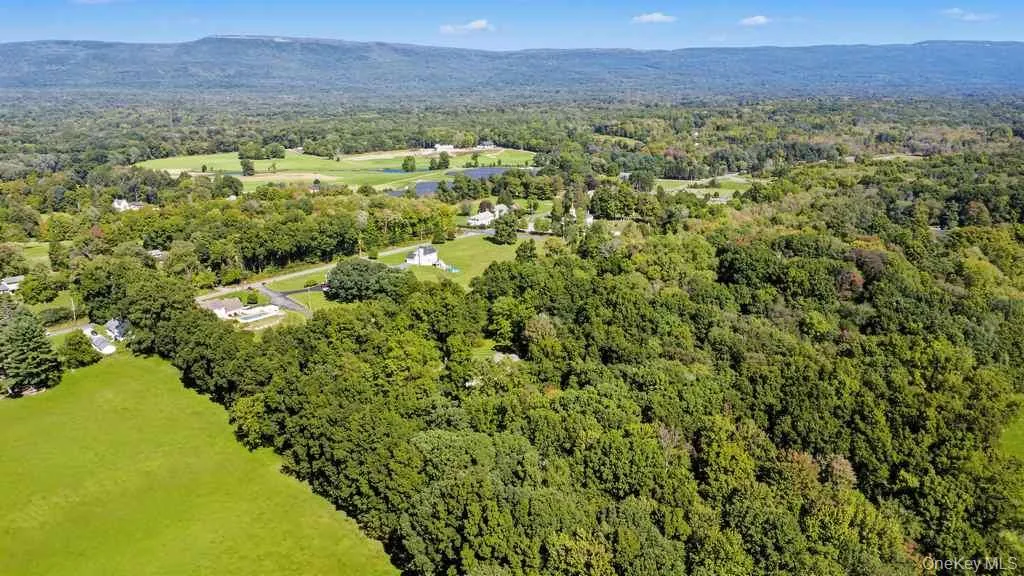 Expansive green landscape featuring abundant mature trees and distant mountain ranges under a clear sky Expansive green landscape featuring abundant mature trees and distant mountain ranges under a clear sky