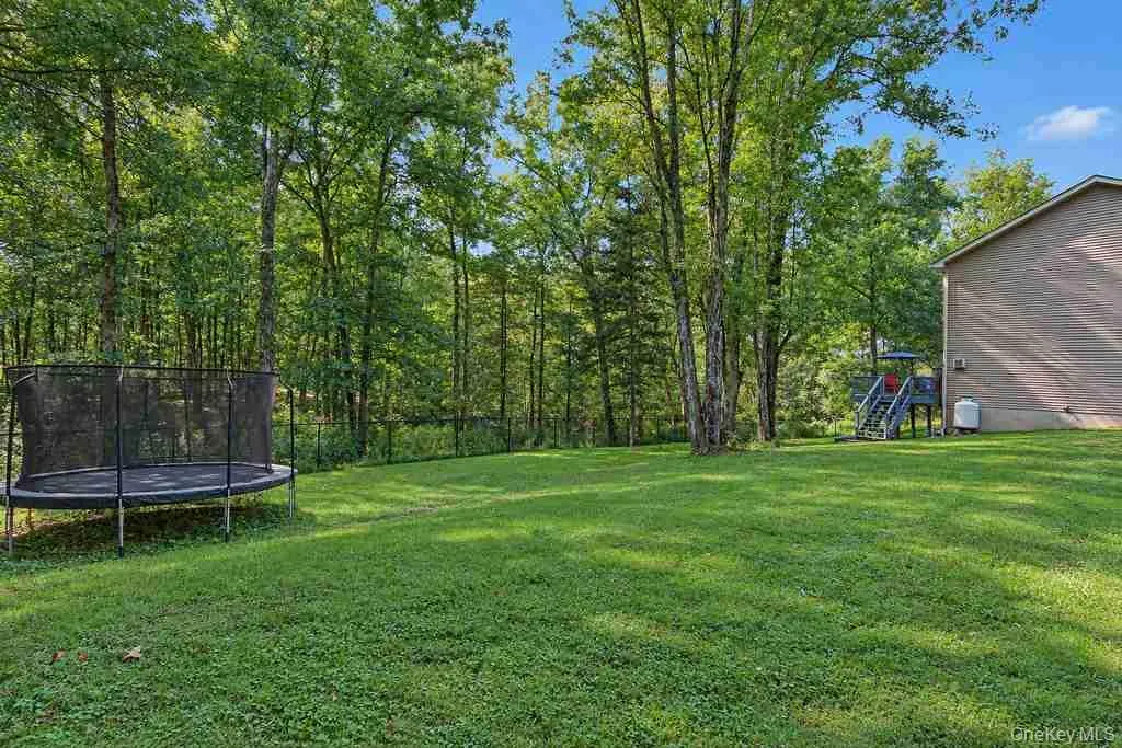 Expansive green lawn with a dense tree line border Expansive green lawn with a dense tree line border