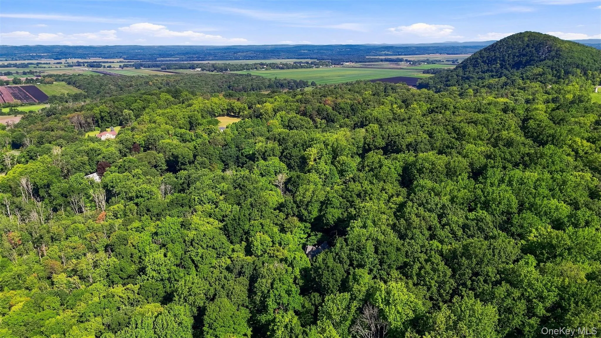 Expansive wooded setting Expansive wooded setting