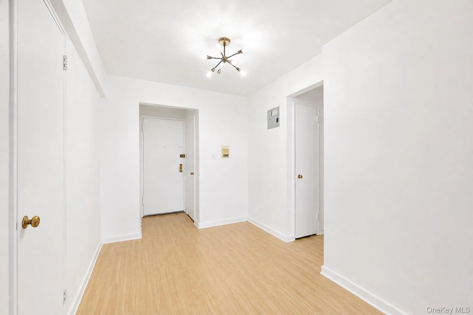 84-50 169th Street, New York, NY, 2 Bedrooms Bedrooms, 5 Rooms Rooms,1 BathroomBathrooms,Residential,For Rent,169th Street,0,1045557 84-50 169th Street, New York, NY, 2 Bedrooms Bedrooms, 5 Rooms Rooms,1 BathroomBathrooms,Residential,For Rent,169th Street,0,1045557