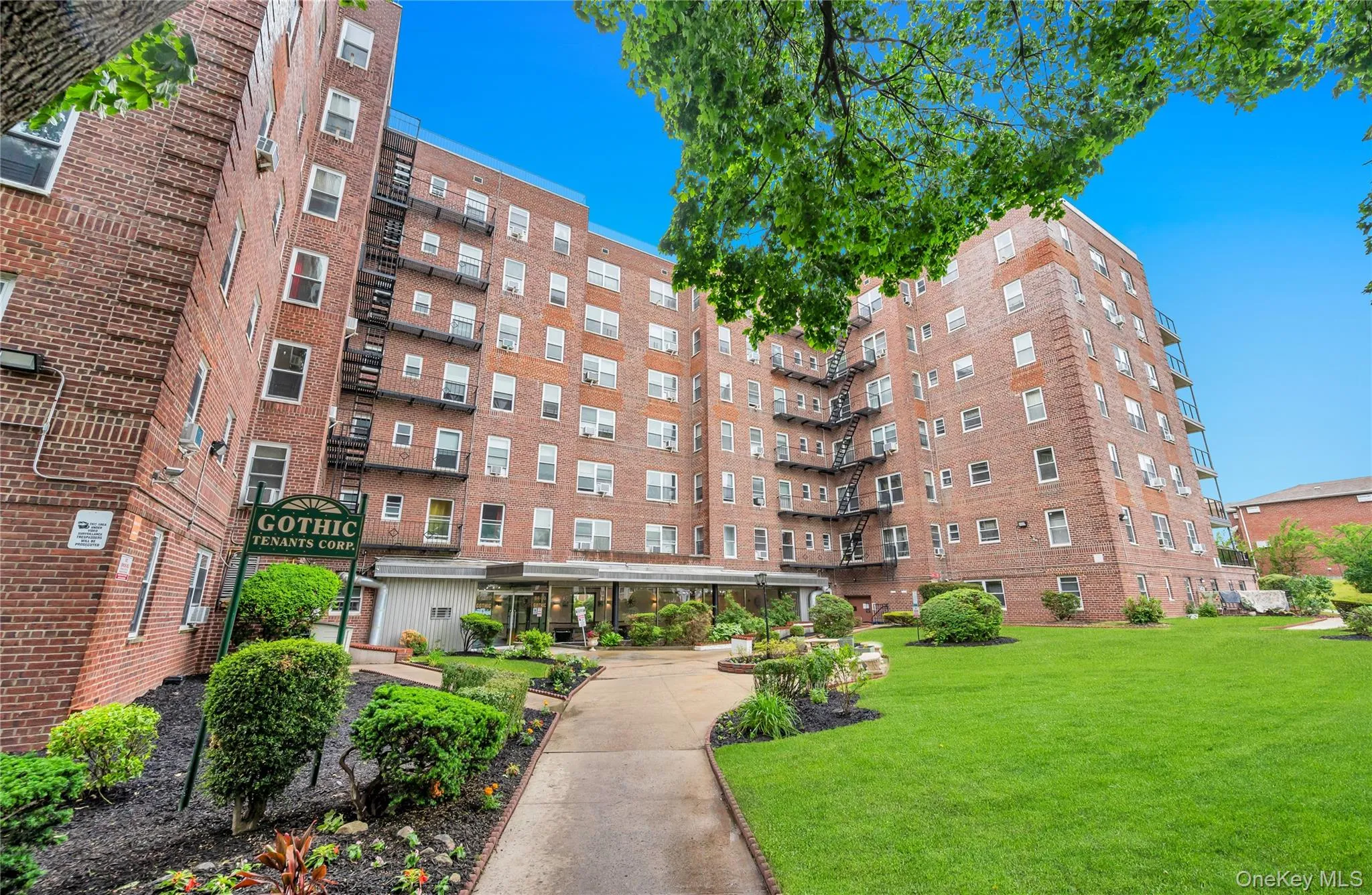 84-50 169th Street, New York, NY, 2 Bedrooms Bedrooms, 5 Rooms Rooms,1 BathroomBathrooms,Residential,For Rent,169th Street,0,1045557 84-50 169th Street, New York, NY, 2 Bedrooms Bedrooms, 5 Rooms Rooms,1 BathroomBathrooms,Residential,For Rent,169th Street,0,1045557